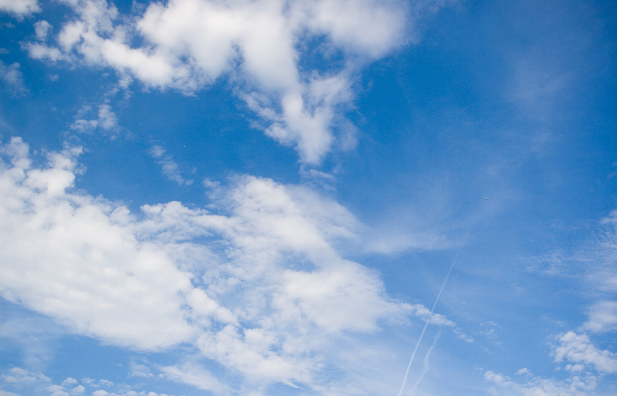 天晴了,今天要出太阳!