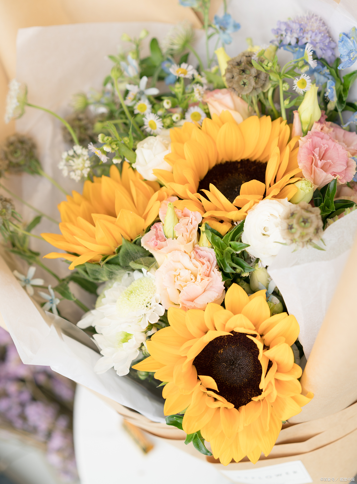 向日葵:向日葵的花语是"阳光和忠诚",寓意着勇往直前和忠诚奉献.