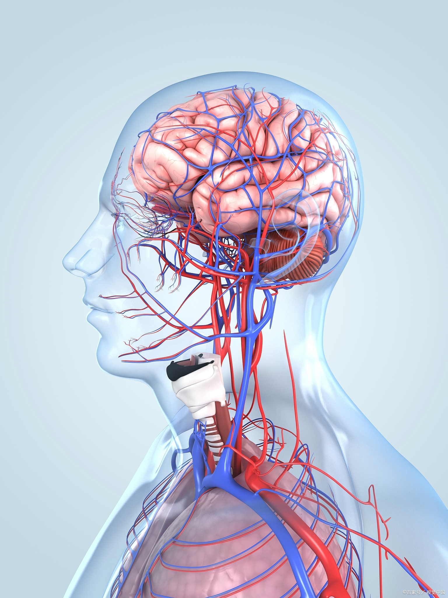 大脑供血不足可能会有以下12个症状: 1,头晕,特别是突然感到眩晕.