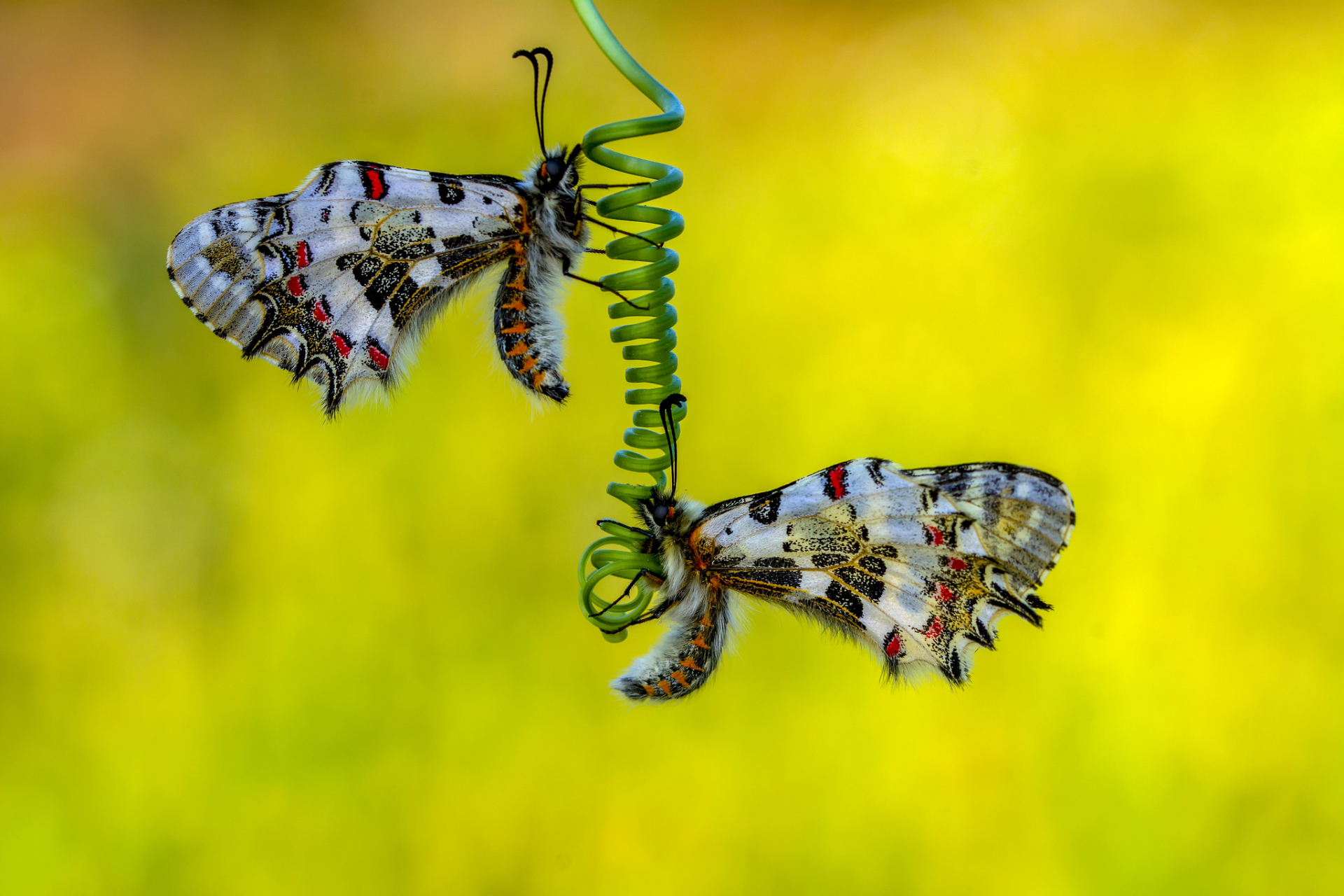 今天我们要玩一个特别有趣的游戏