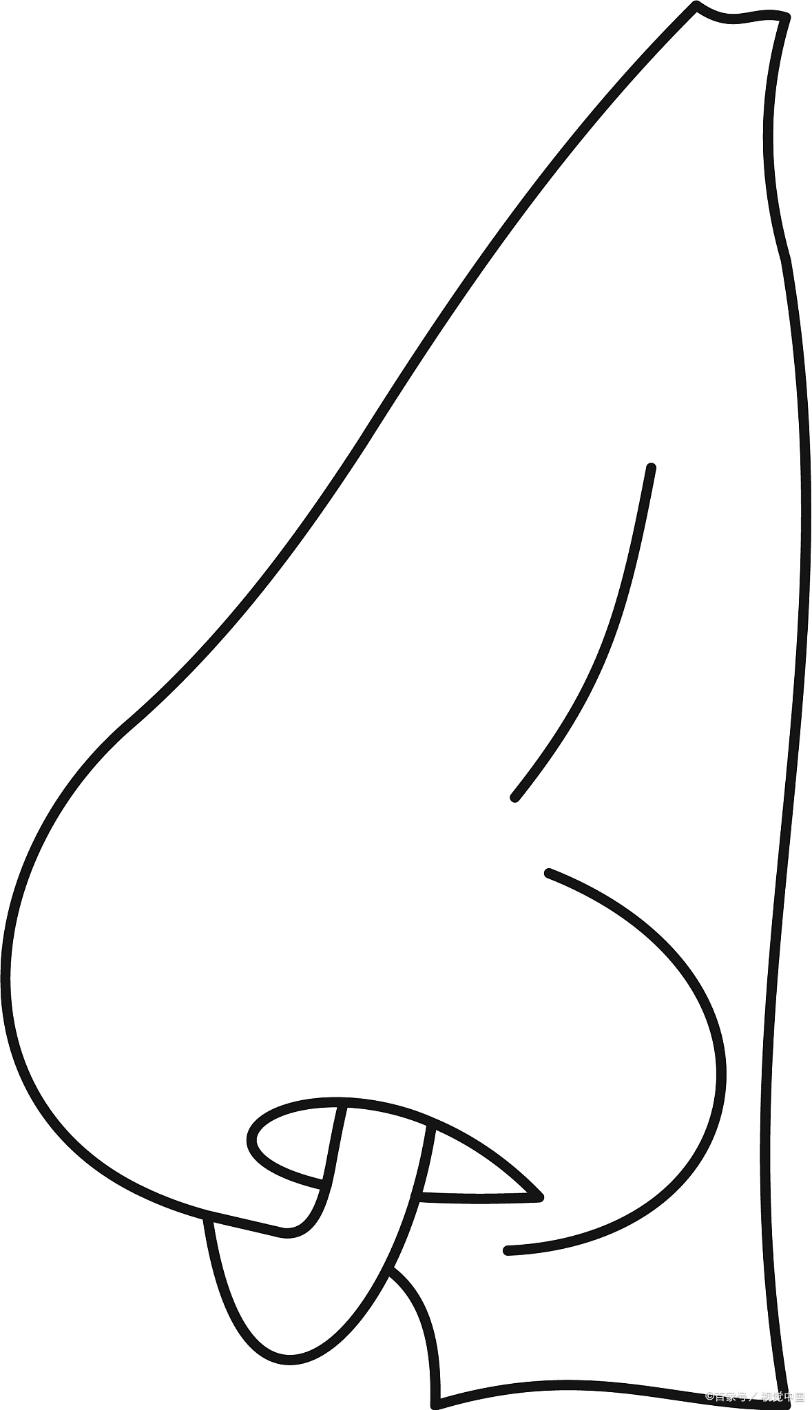 超有趣!鼻子简笔画教程,带你玩转绘画