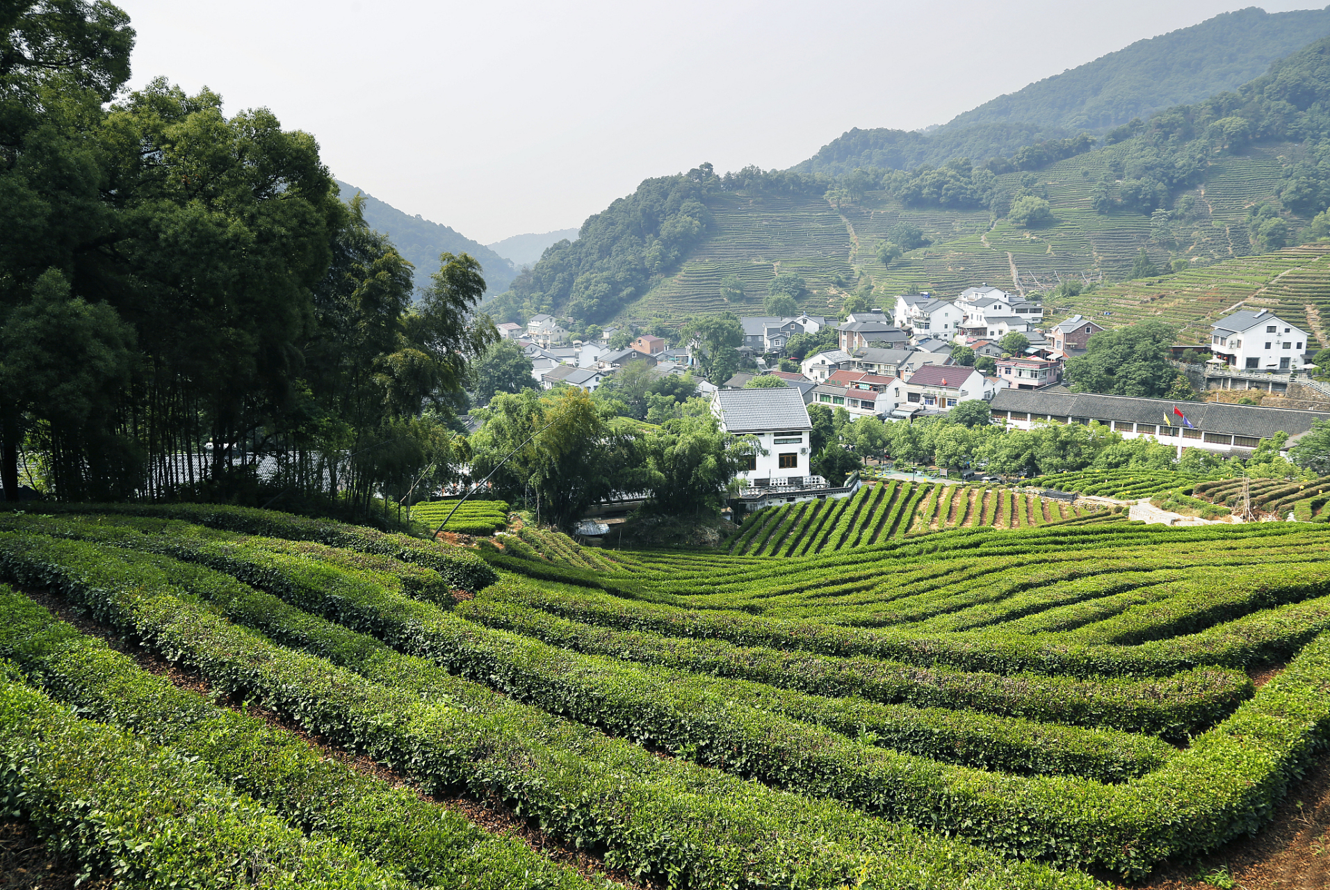 #仲夏巡游指南#夏天去哪玩:夏日,杭州梅家坞茶园是不可错过的胜地.坐