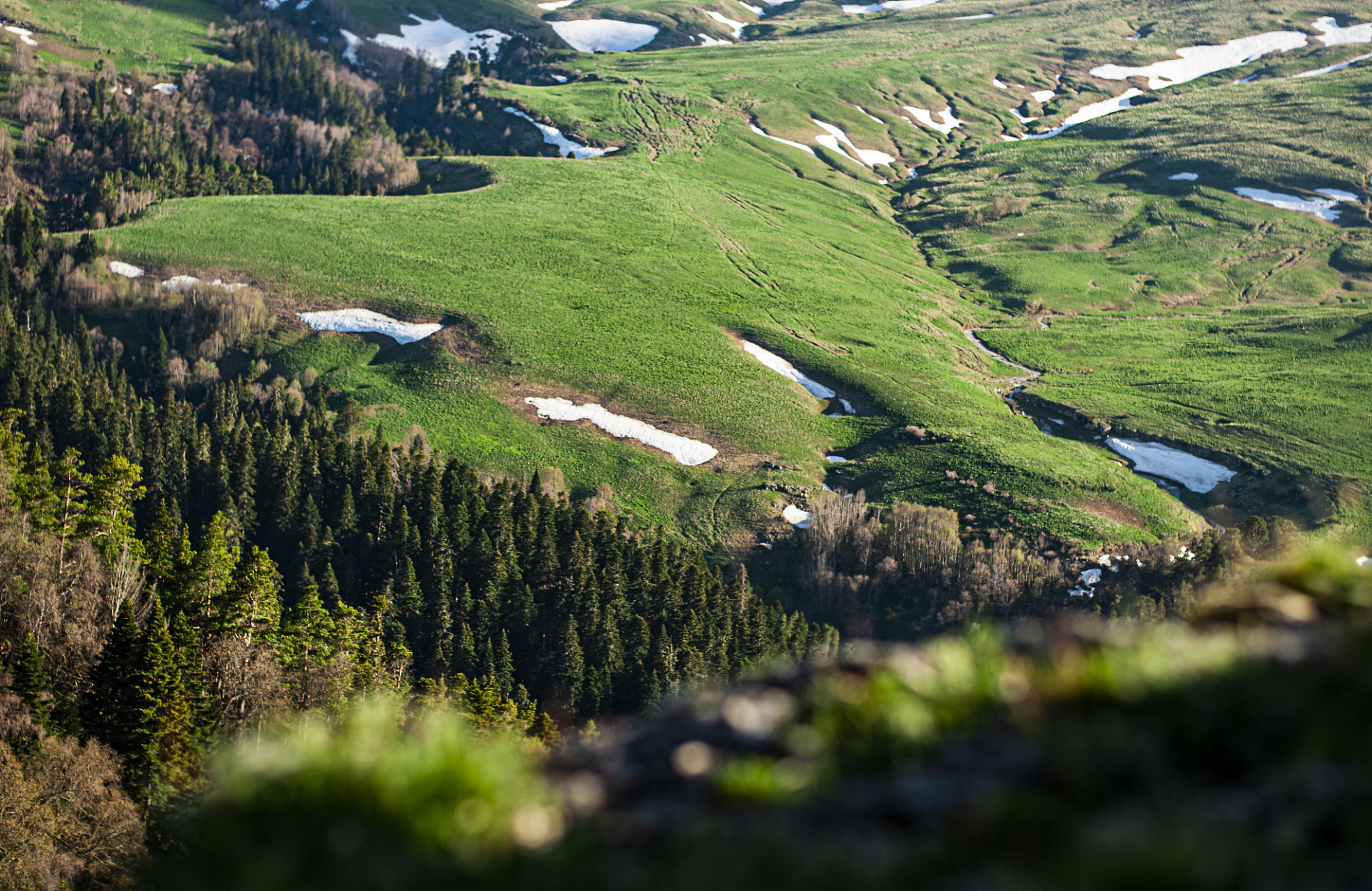 伊犁河谷是一个拥有丰富自然和人文资源的地区,它位于新疆西北部,三面