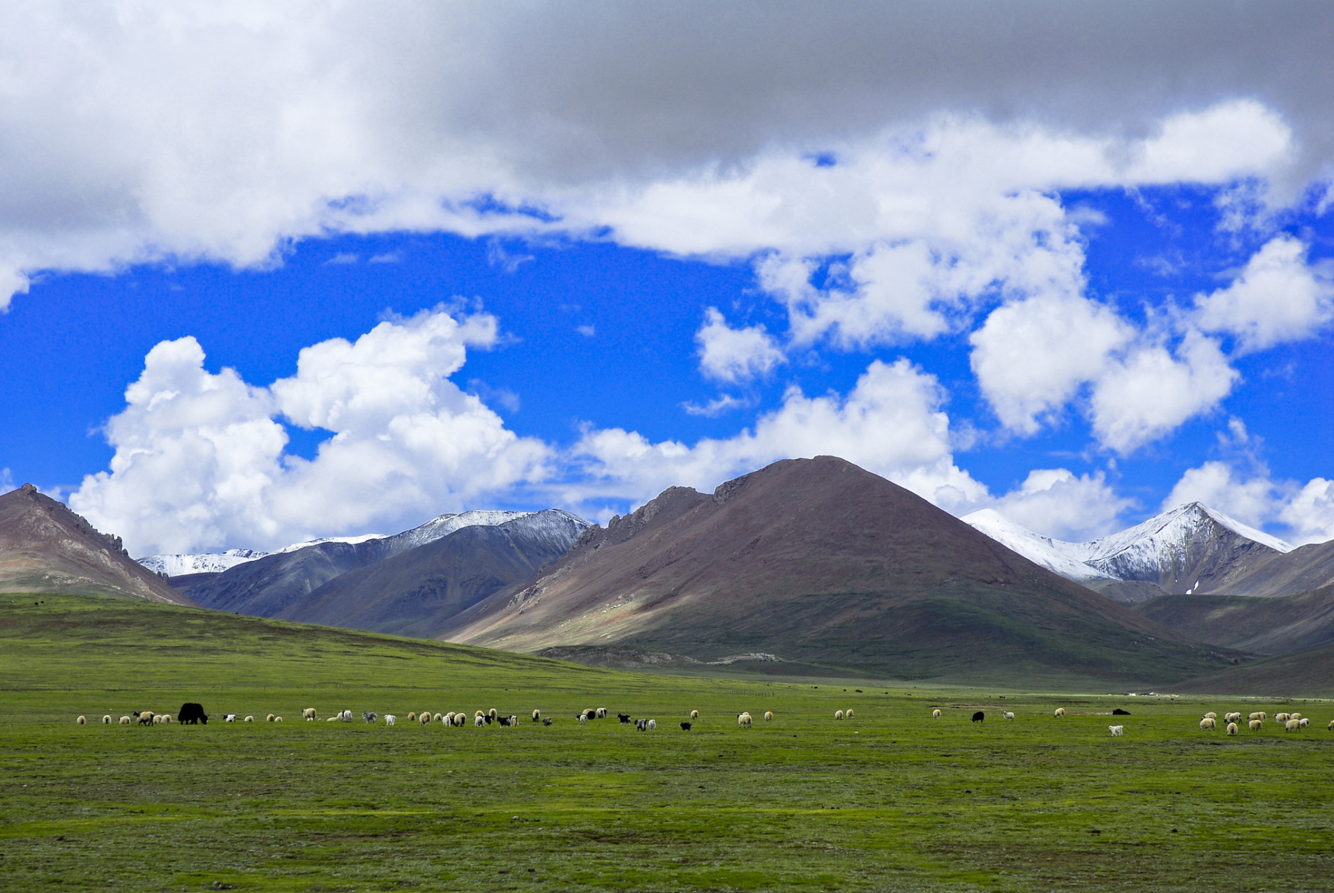 川南大草原旅游景点图片