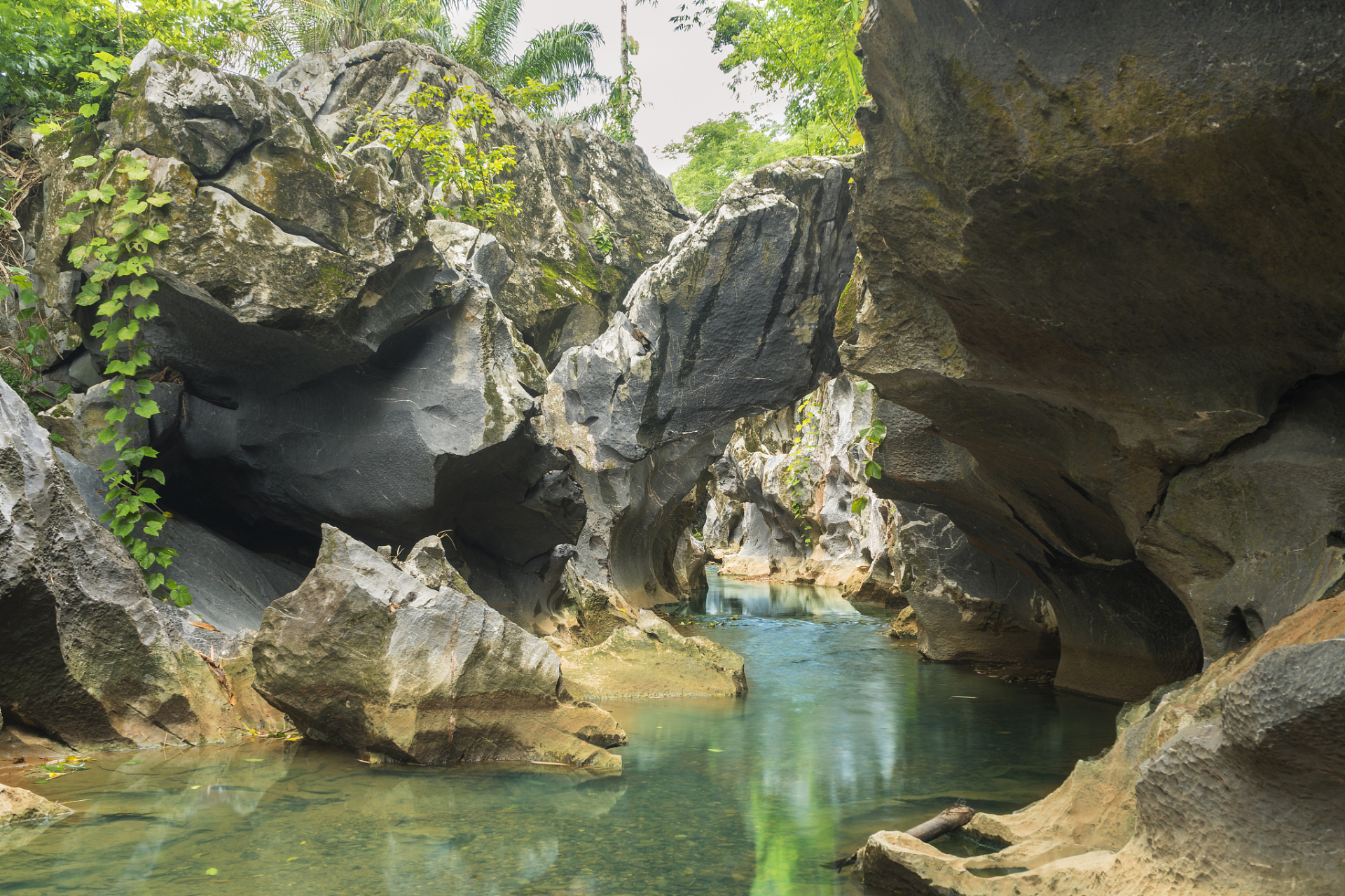 都乐岩风景区,这里位于广西壮族自治区柳州市南12公里的都乐村边的山