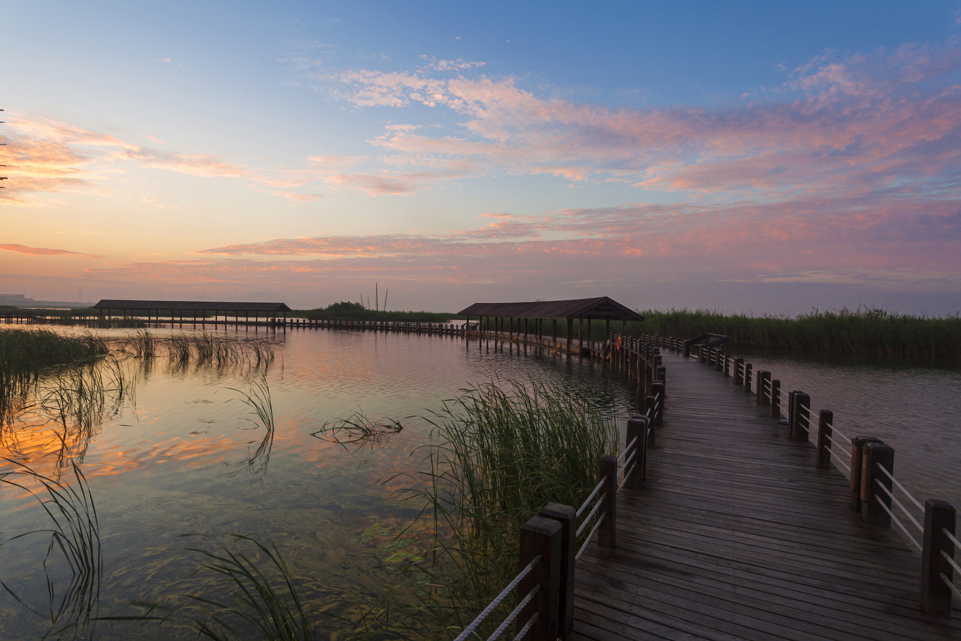 溱湖国家湿地公园:位于泰州市姜堰区,是江苏省首家国家级湿地公园.