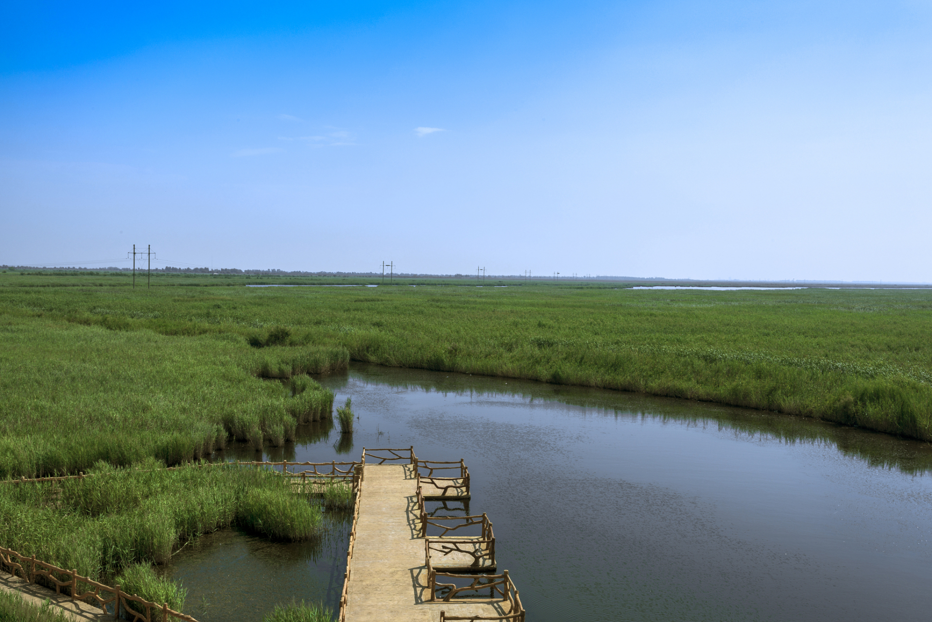 洪泽湖湿地免费图片
