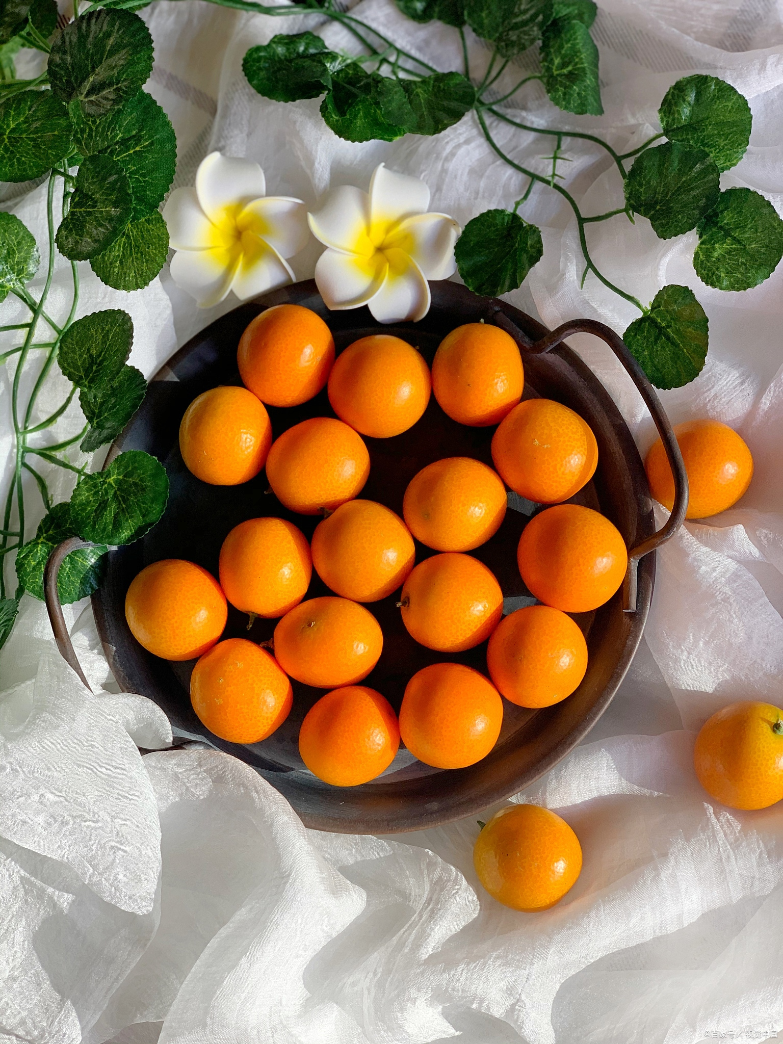 滑皮金桔:小巧水果大满足,让你爱不释手