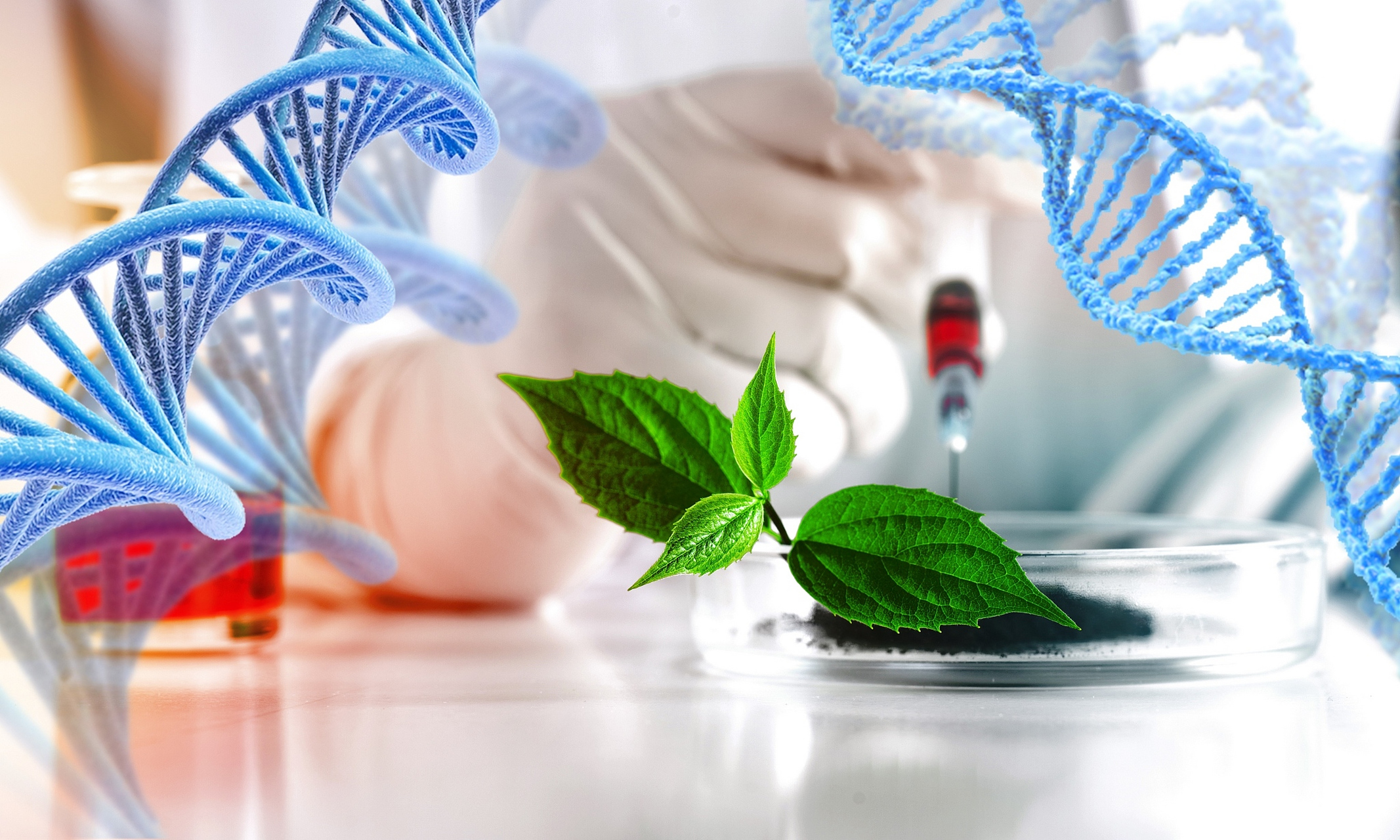 总的来说,药学专业教育的发展应紧跟医药行业的趋势和发展需求,注重