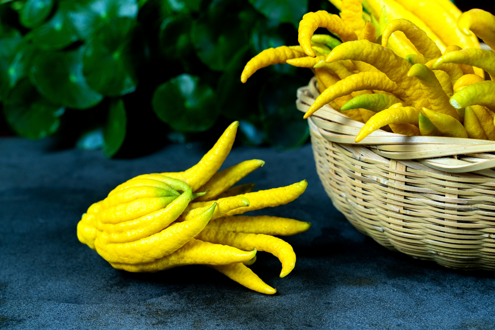 远离失眠,睡个好觉,提高有效睡眠时间就这几招!