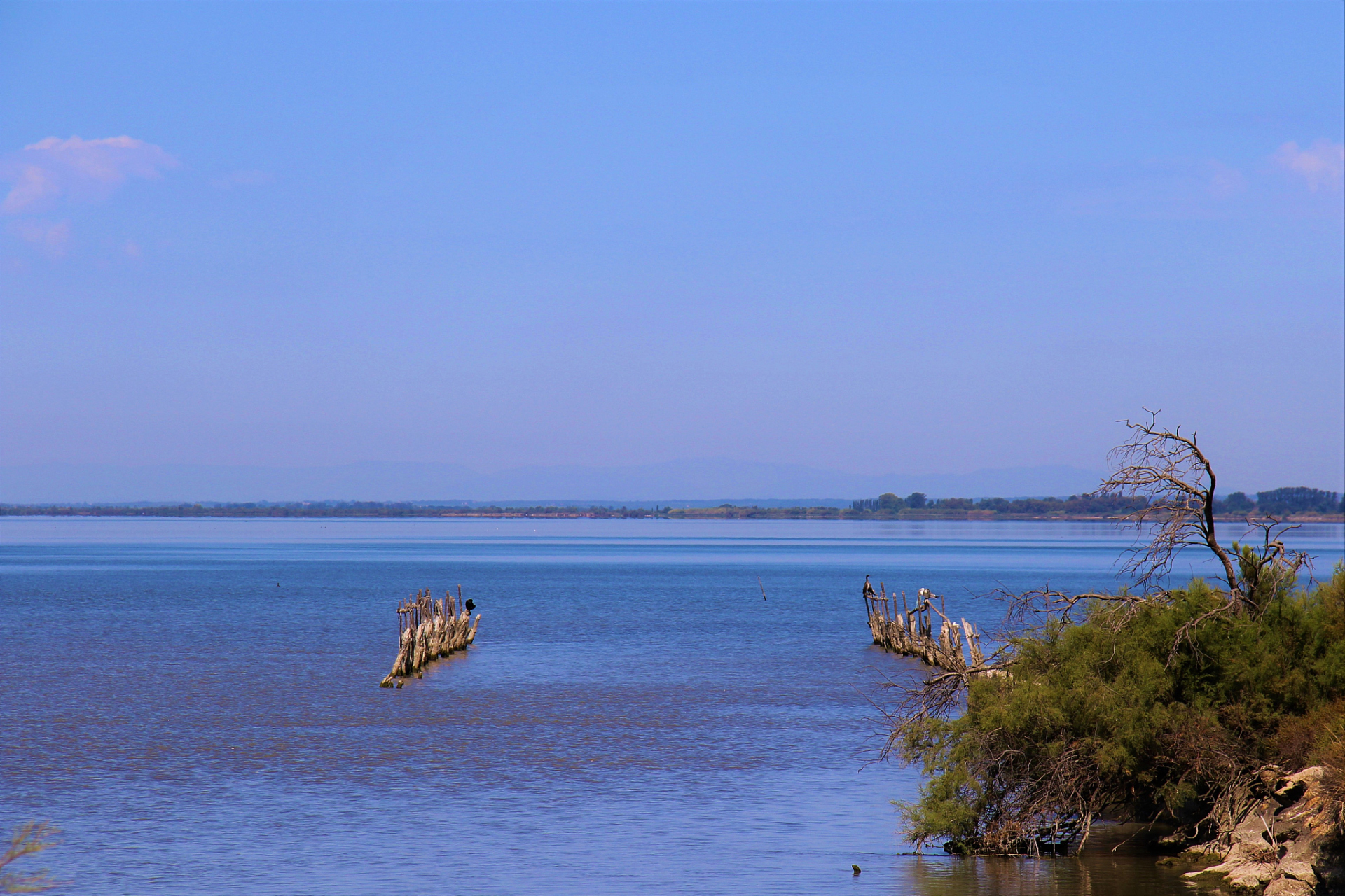 玉溪旅游必去十大景点: 1.