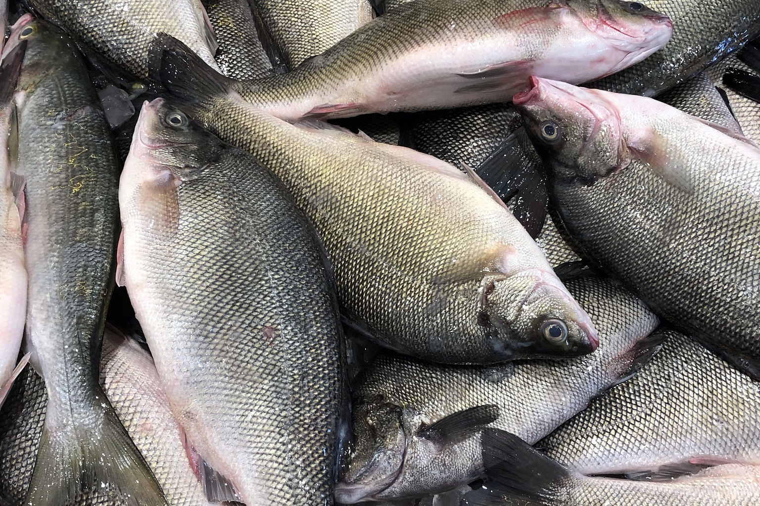 最近市面上的水产价格直线下坡,大闸蟹,草鱼,鲈鱼等水产品价格大跌