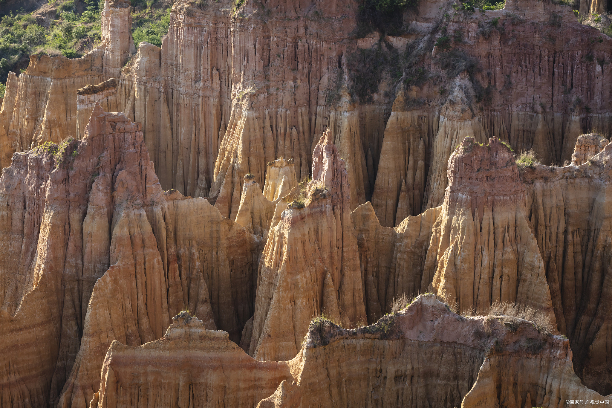 黄联土林是中国最壮观的土地林之一