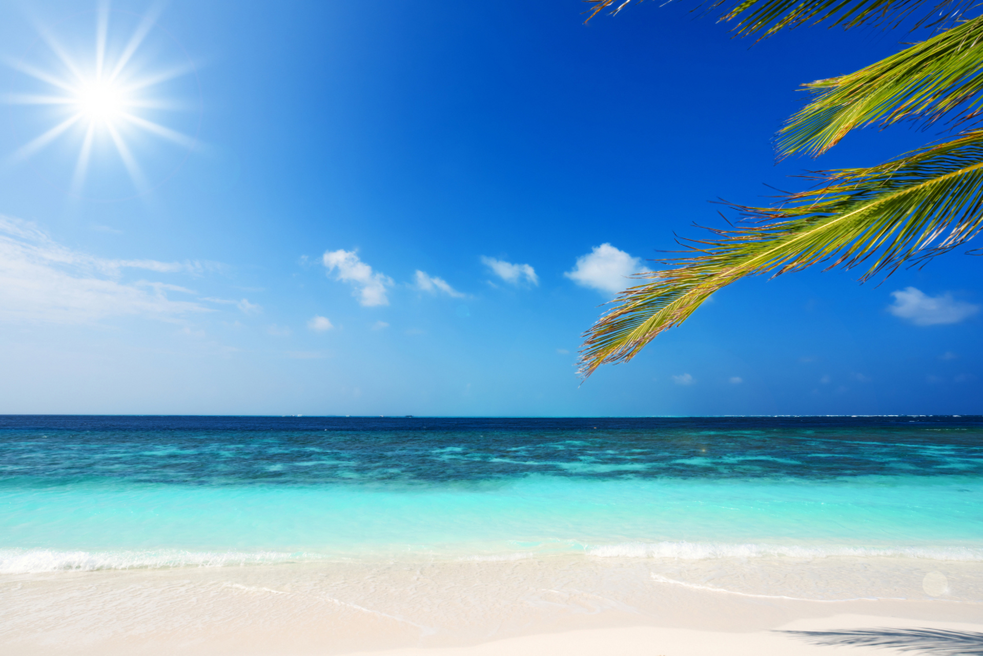 [原文:孙守名:北方的夏天]