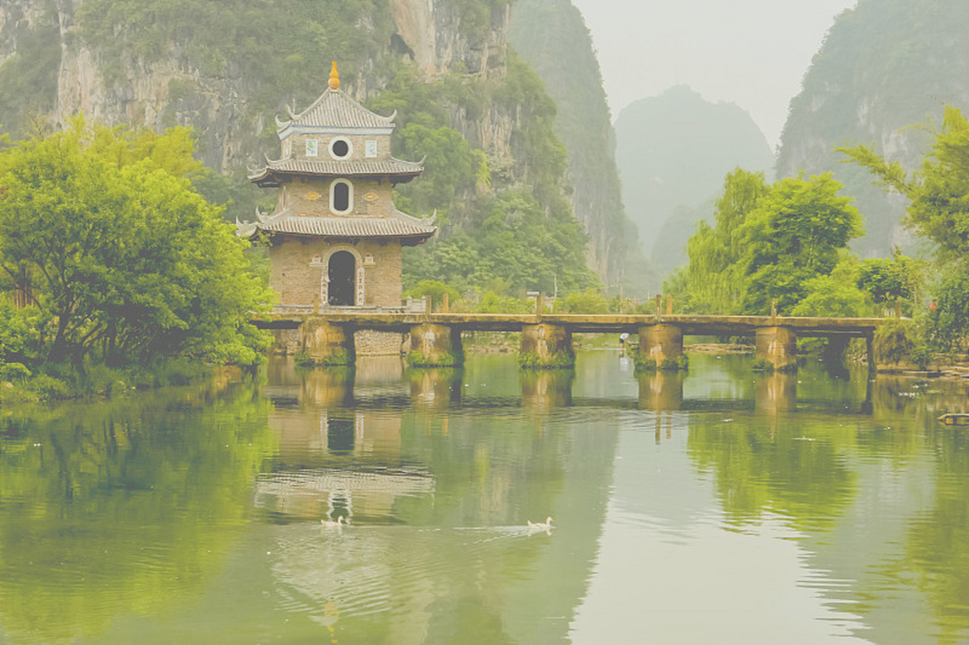 扶绥县拥有众多令人叹为观止的旅游景点,其中金鸡岩,九重山,白头叶猴