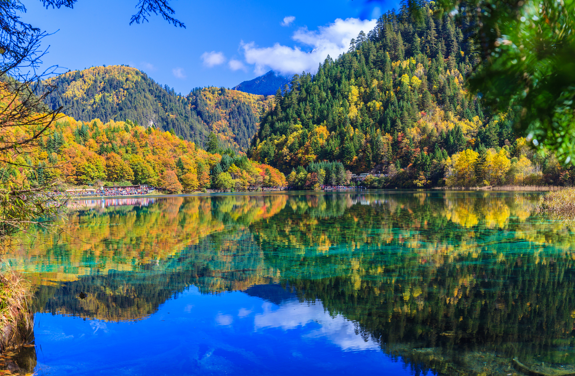 九寨沟镜海:水面平静如镜,映照出九寨沟的美丽与宁静  九寨沟的镜海