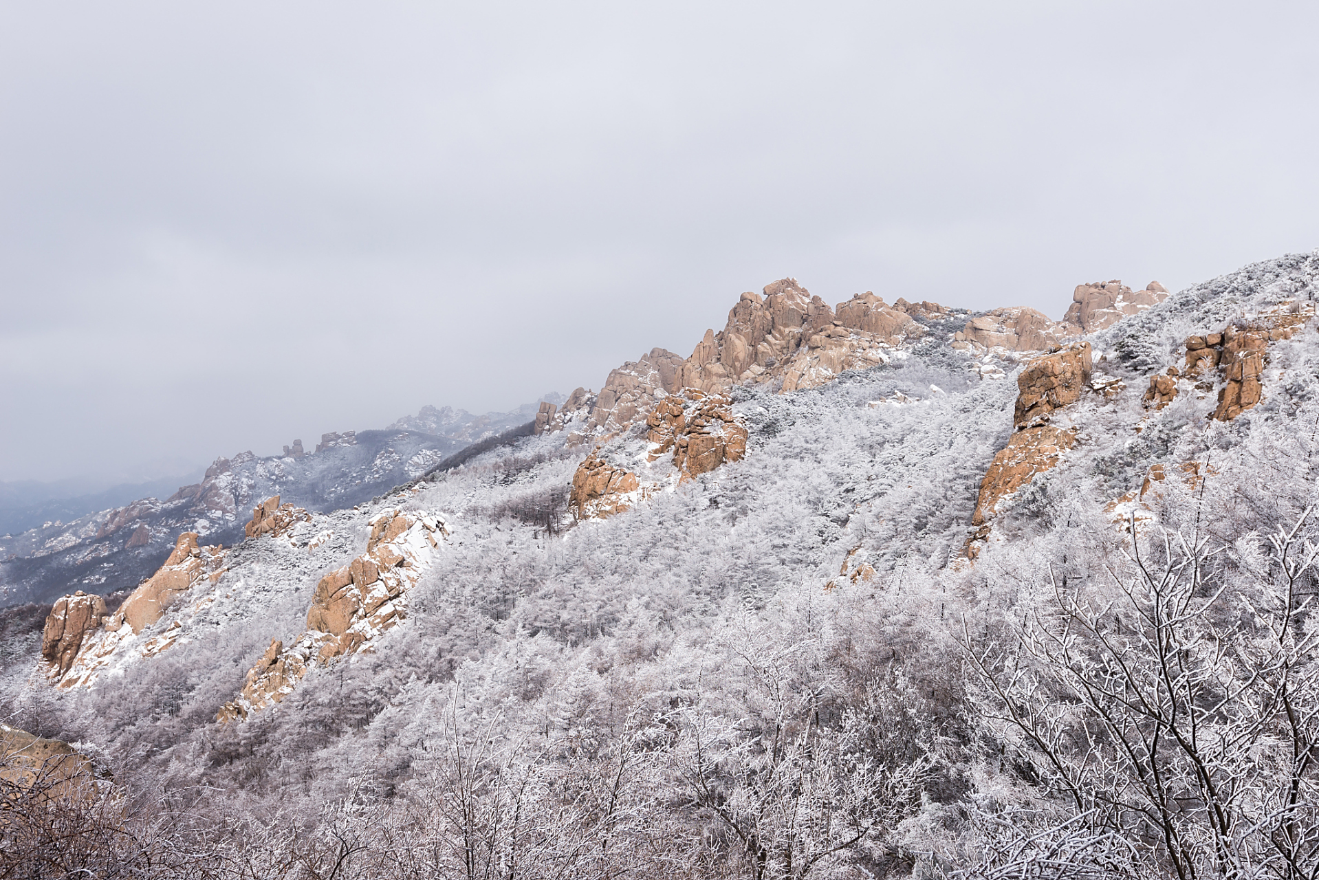 冬日好去处#  广东赏雪胜地:金子山 金子山位于广东广东省清远市连山