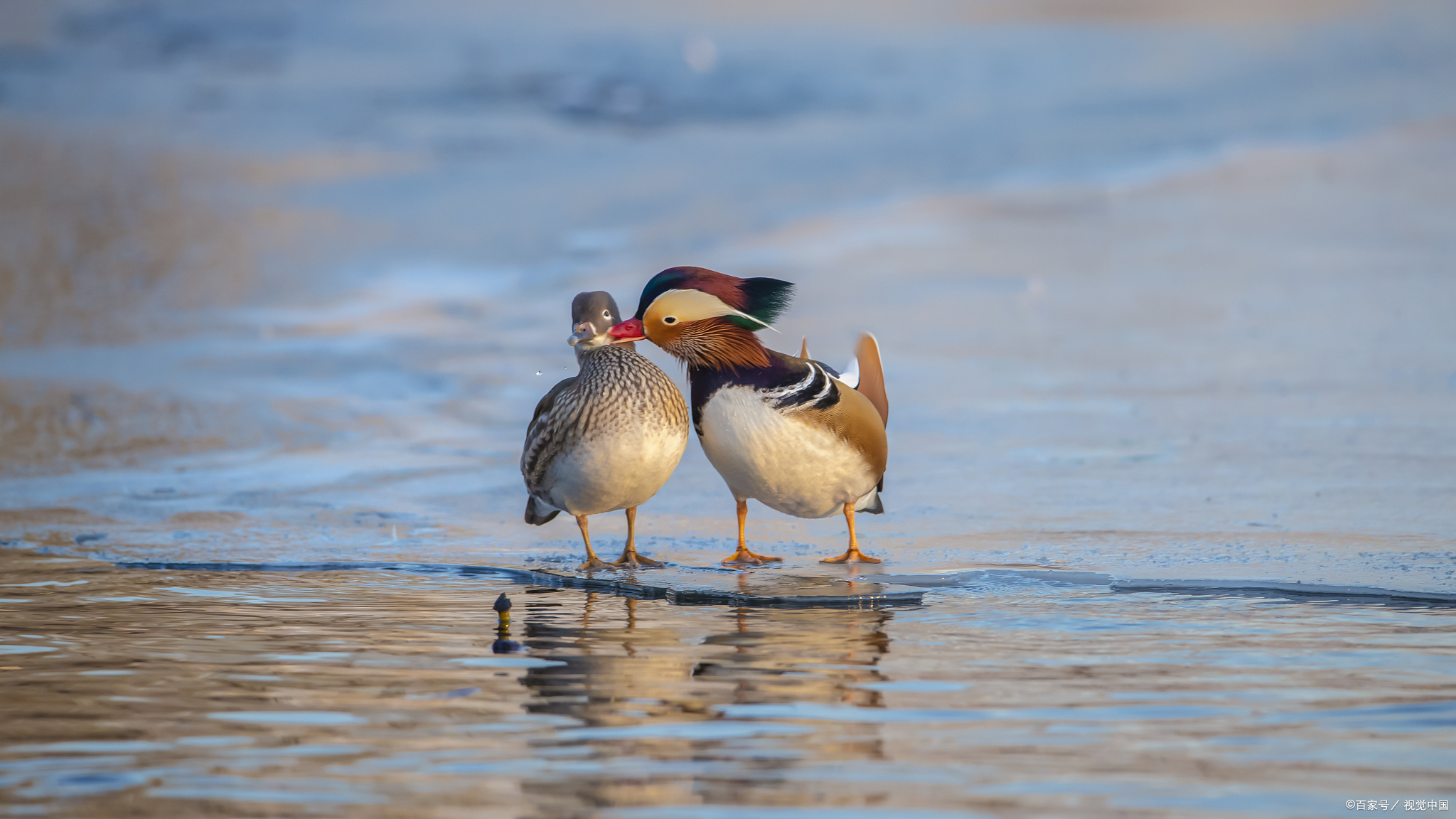 圆房是什么意思?难道房是圆的吗?