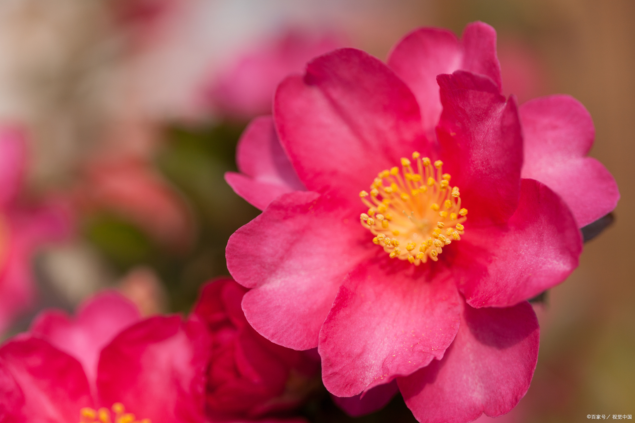 居安思危,欲进思退,欲通思变,人生才能得以安稳(说得真对)