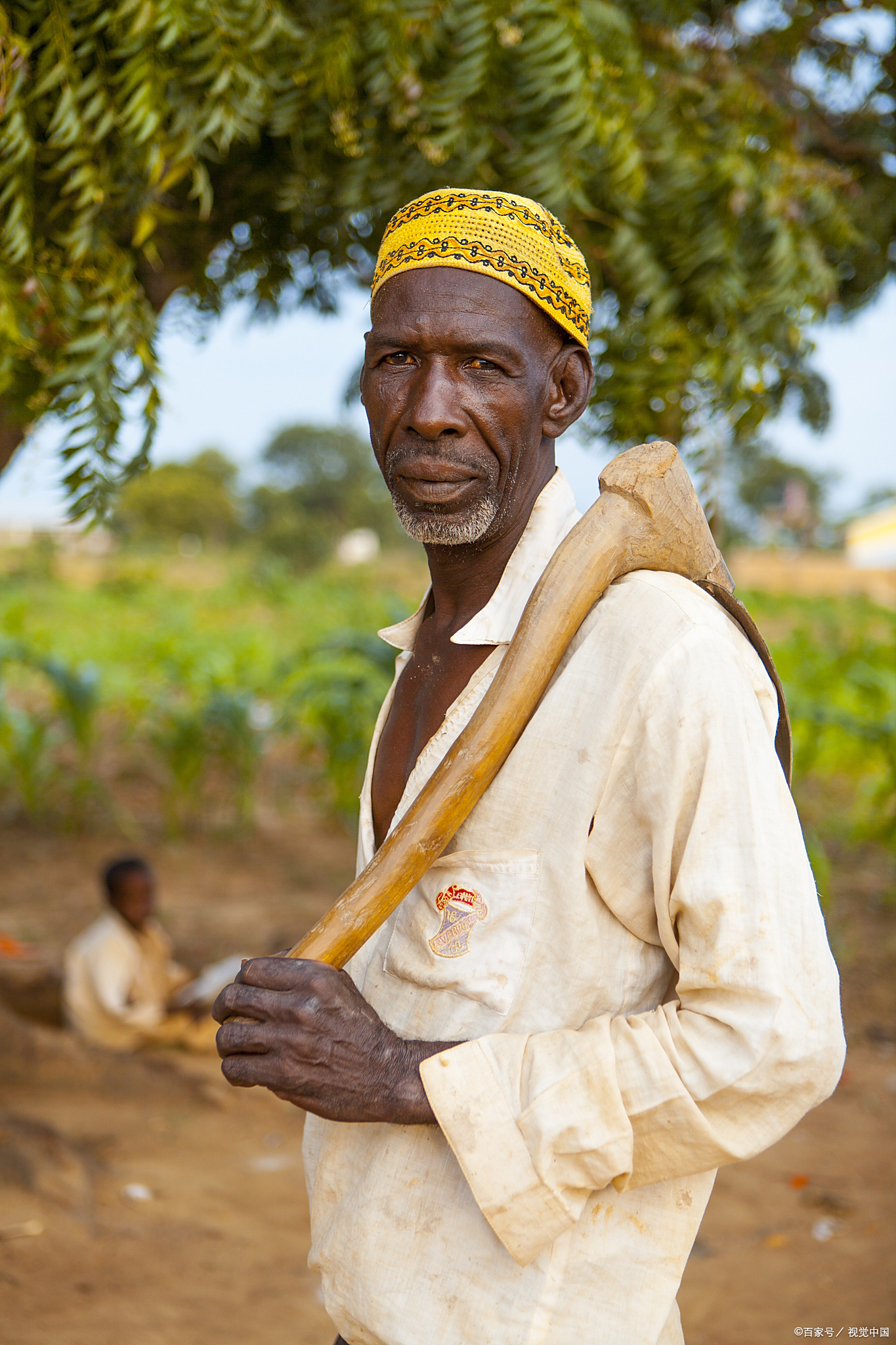 苏丹四成人口陷入饥荒,世界粮署发布报告警示全球粮食安全!