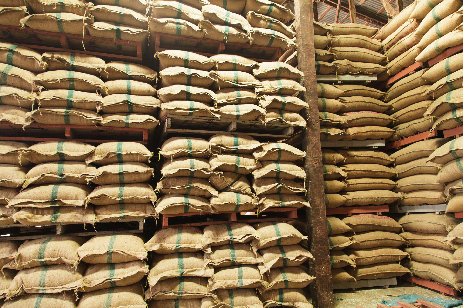 非常规能量饲料使用注意事项有哪些?