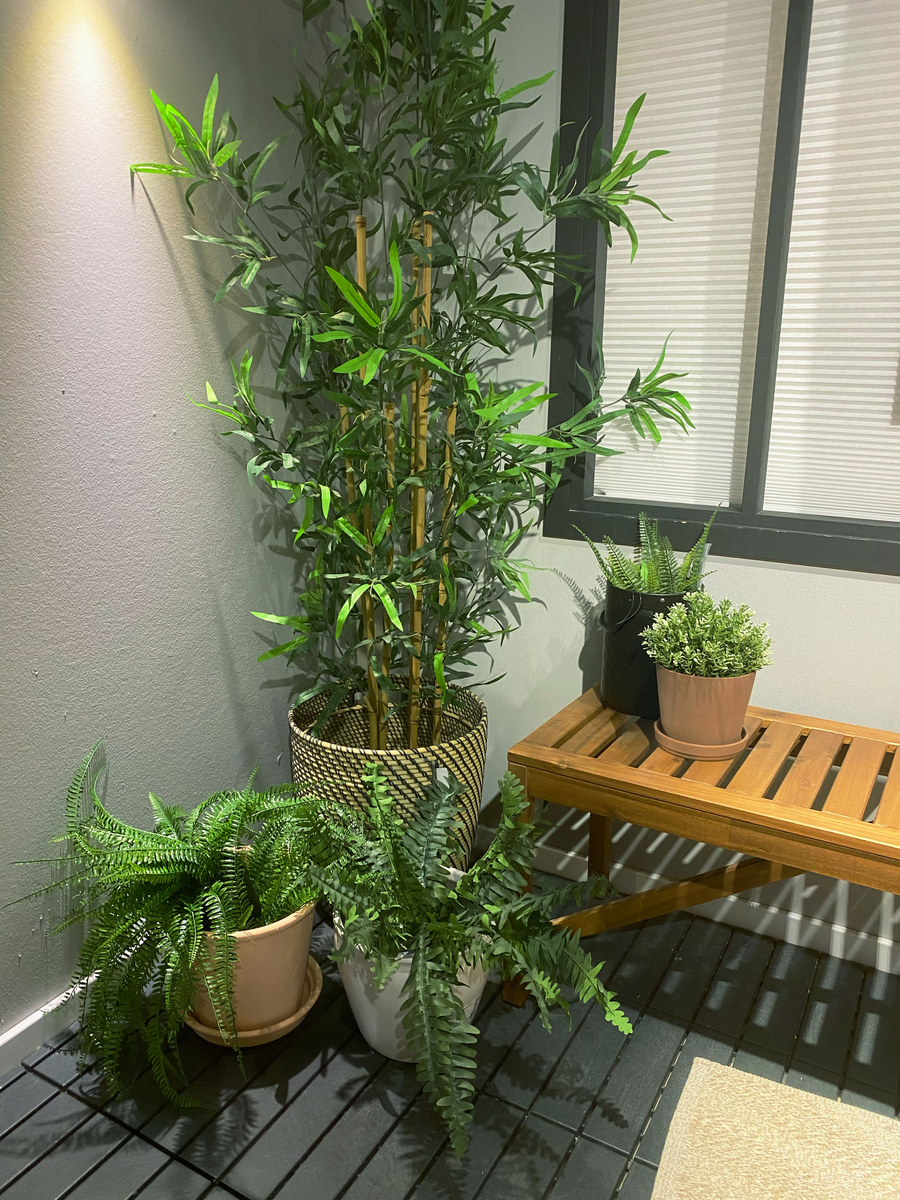 **寓意大门口盆栽楼梯风水树办公室绿植摆放