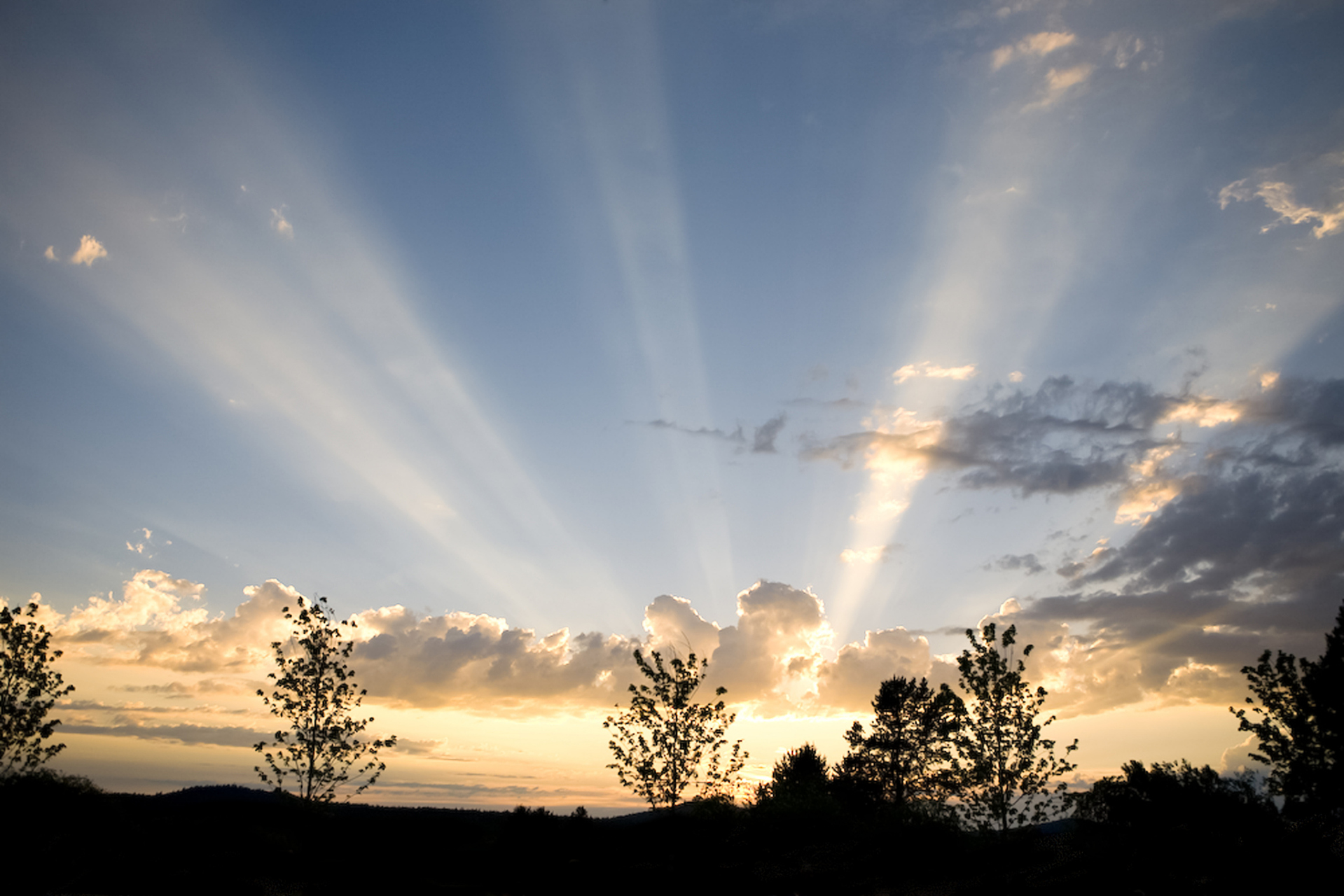 清晨的阳光透过窗帘 轻柔地拂过我的脸 我睁开眼,微笑着对世界说