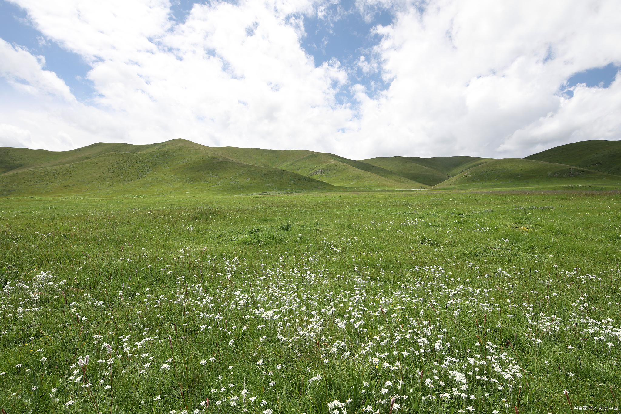 湖北省保康南顶草原攻略:与自然和谐相处,享受绿色生活