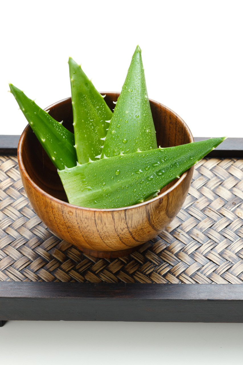 芦荟敷脸能美白吗	 芦荟是美容人士常常使用的一种绿色草本护肤的植物