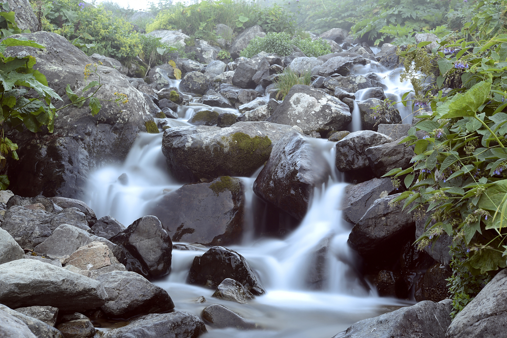 有浮云富贵之风,而不必岩栖穴处; 无膏盲泉石之癖,而常自醉酒耽诗.
