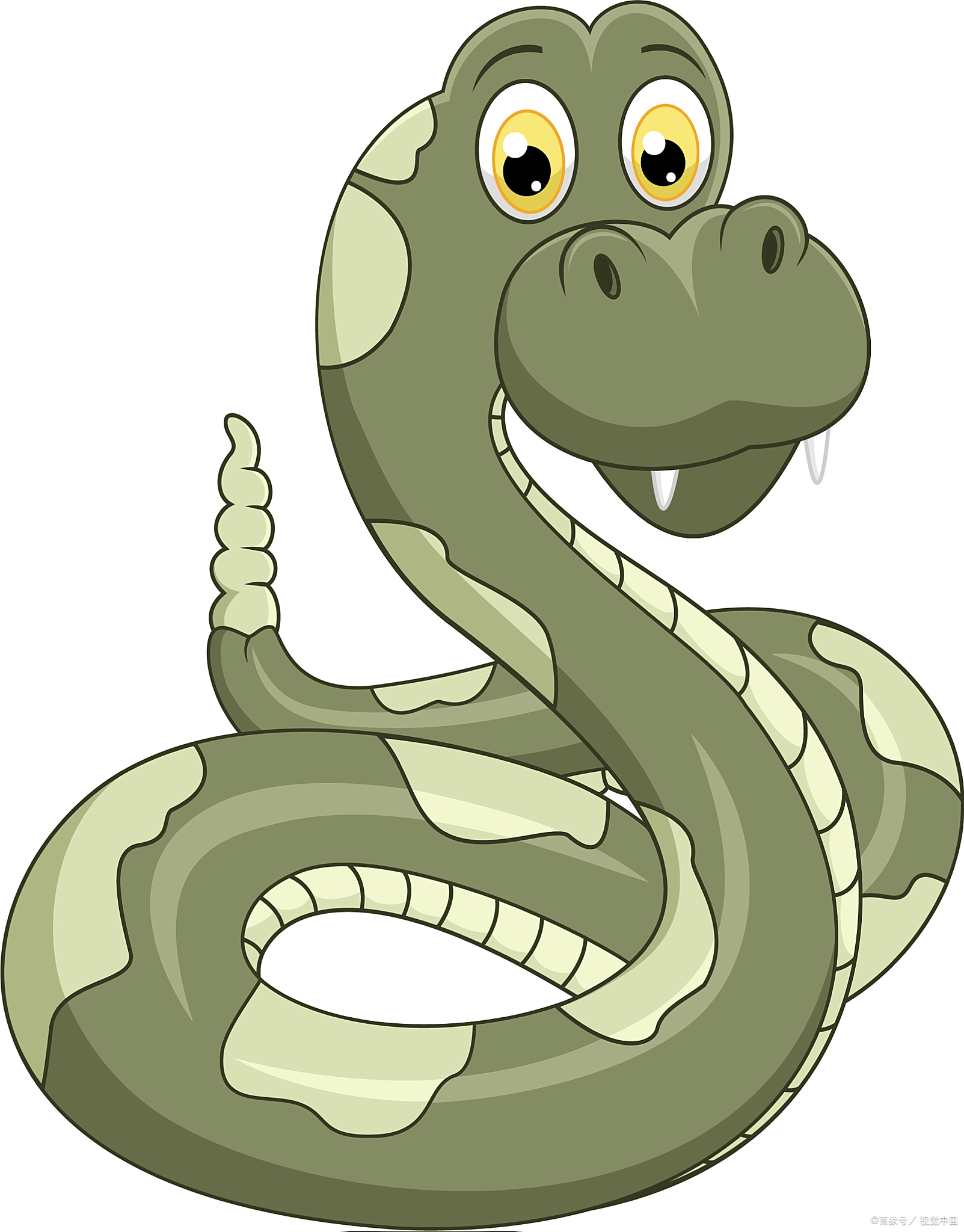 印尼一74岁老太被一条4米长的蟒蛇吞至肩膀后又吐出来死亡,家人与邻居