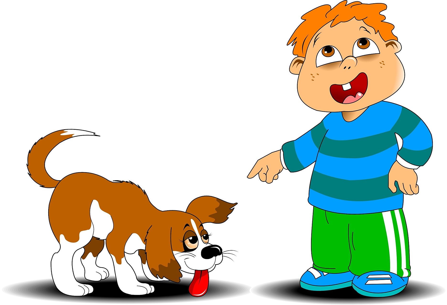 狗主人回应边牧咬人:未经允许摸狗 一女子参加星光集市时,发现一条长