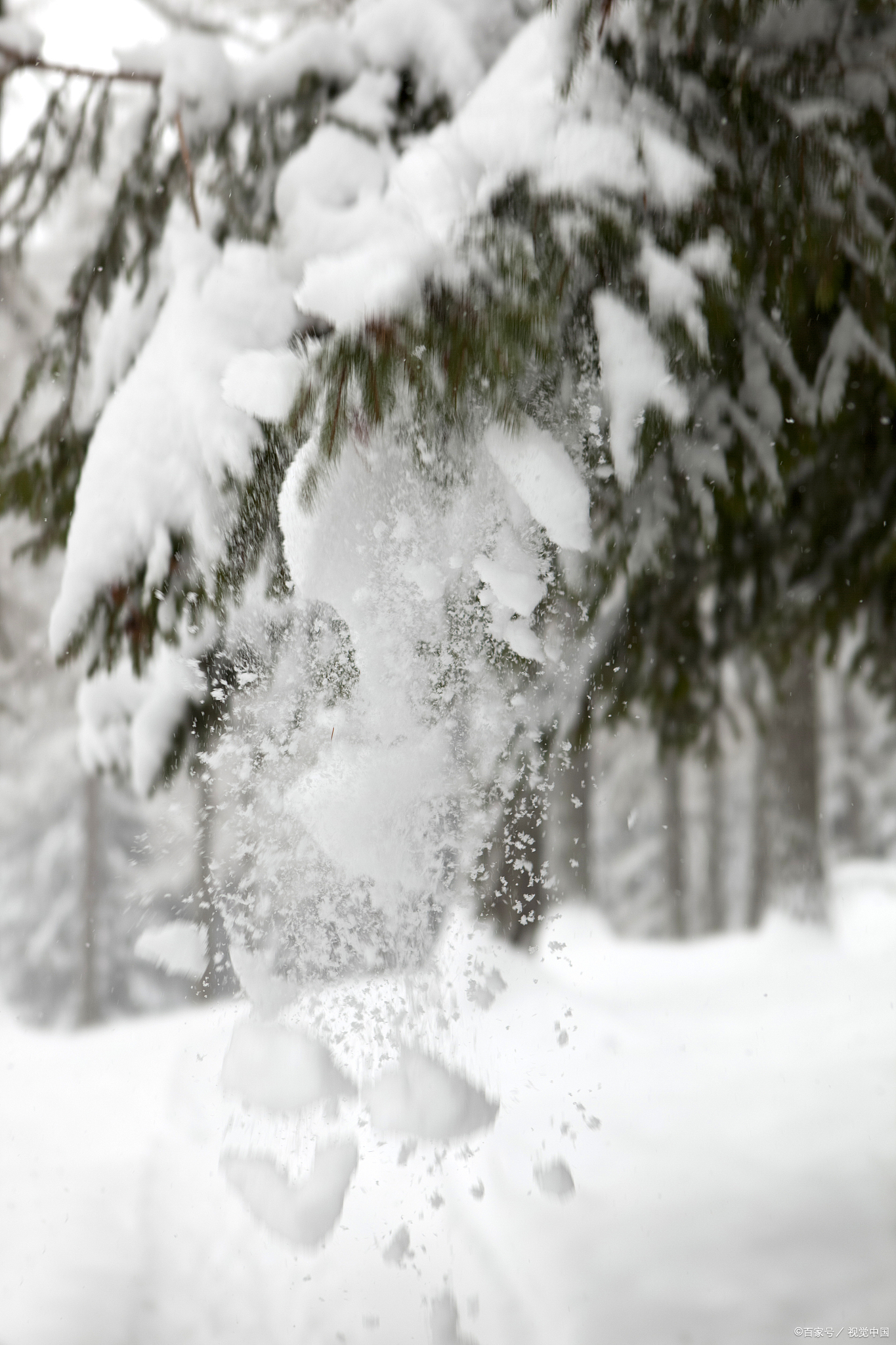 大雪节气有啥说法# 大雪,直观的表述了这个时候的寒意,什么是"雪"?