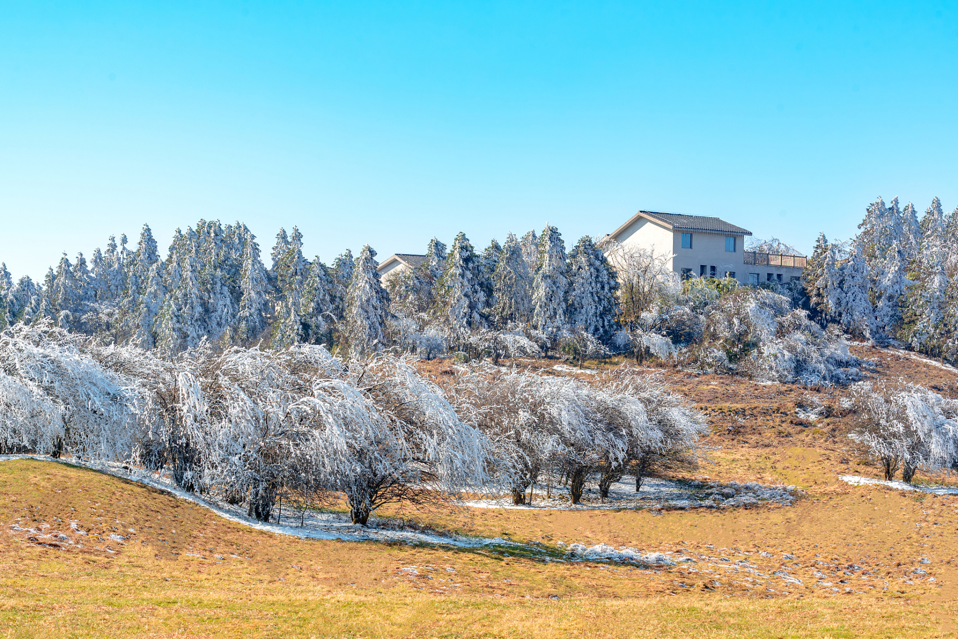 冬天的重庆仙女山,一片银装素裹,宛如童话世界.