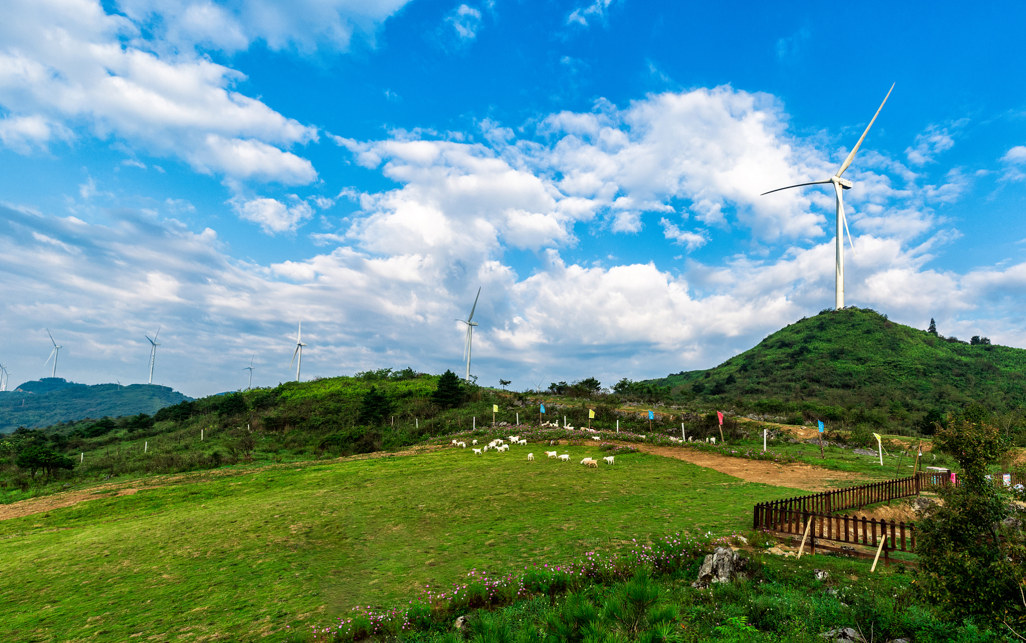 齐岳山,位于恩施利川市西部,是中国南方最大的山地草场,处处一派异国