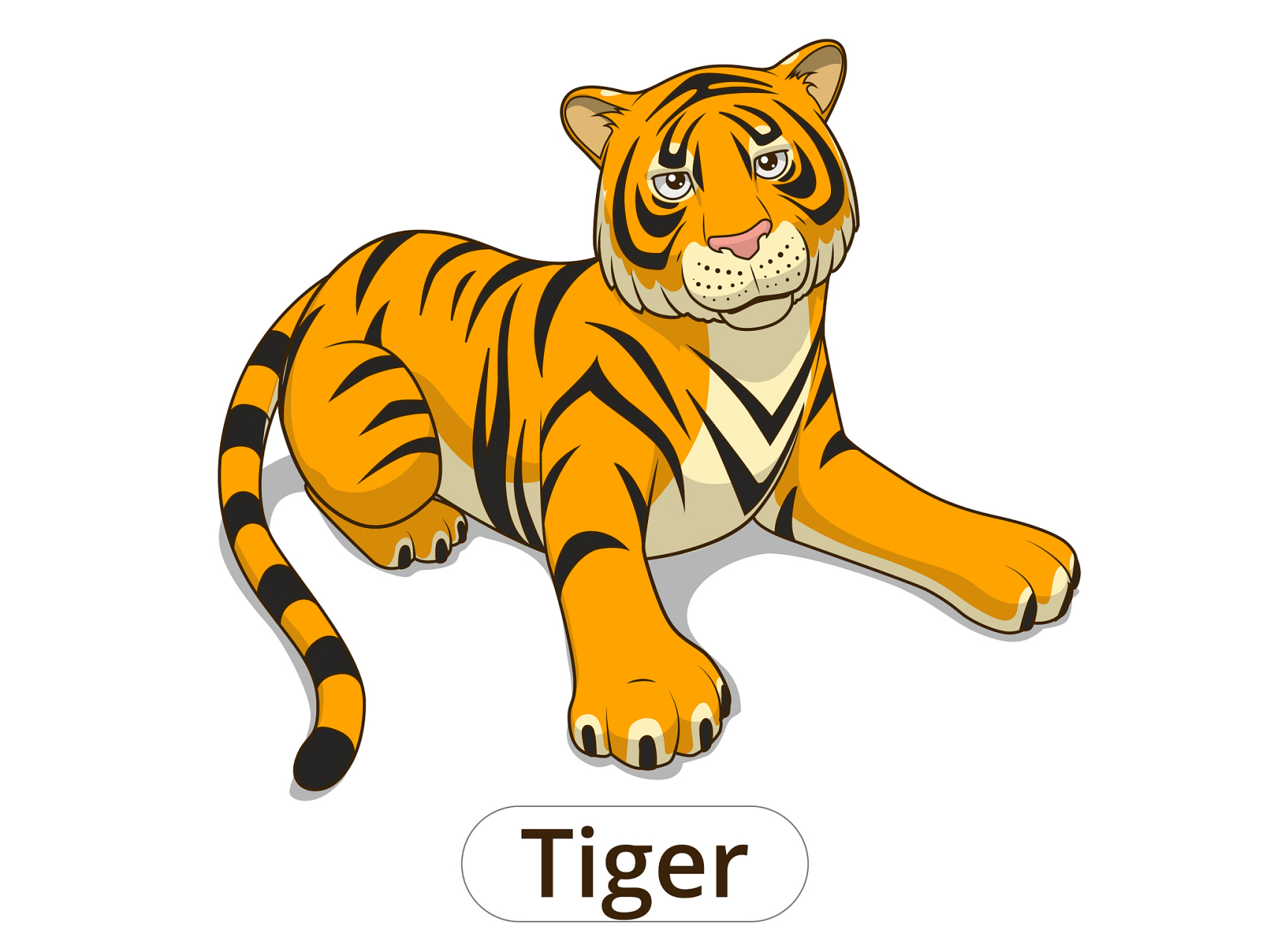 学习单词"tiger"  11566 首先,让我们了解一下