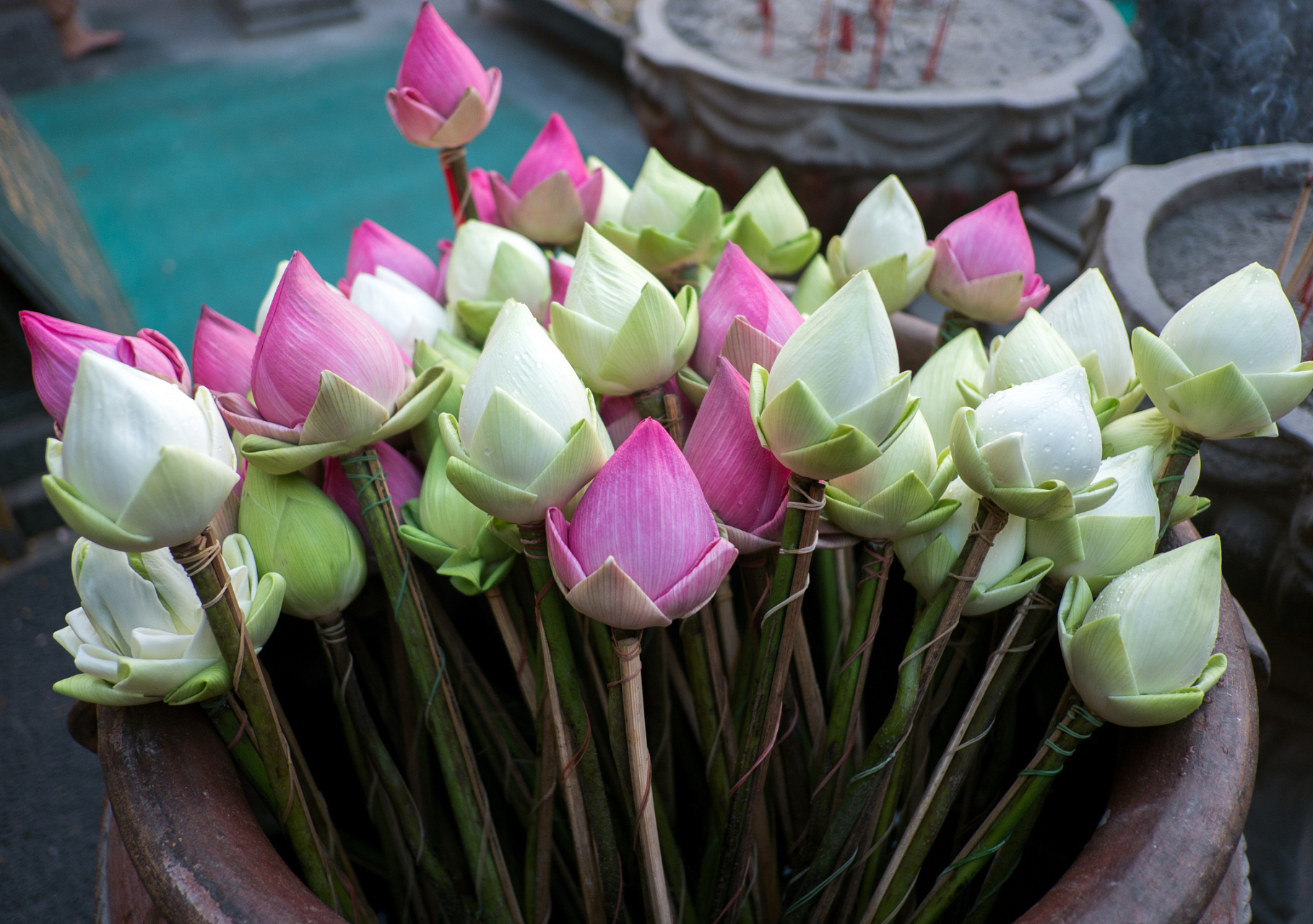 [原文:荷花鲜切花怎么让它开]