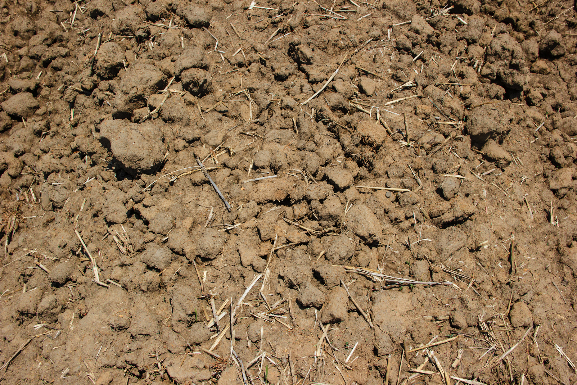 使用锄头或耙子等工具进行深度翻松,松散土壤表层并打破板结