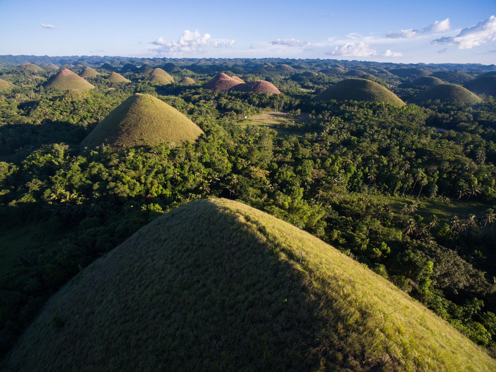 小山丘底部的平地树木茂密,小山丘上则只长草不长