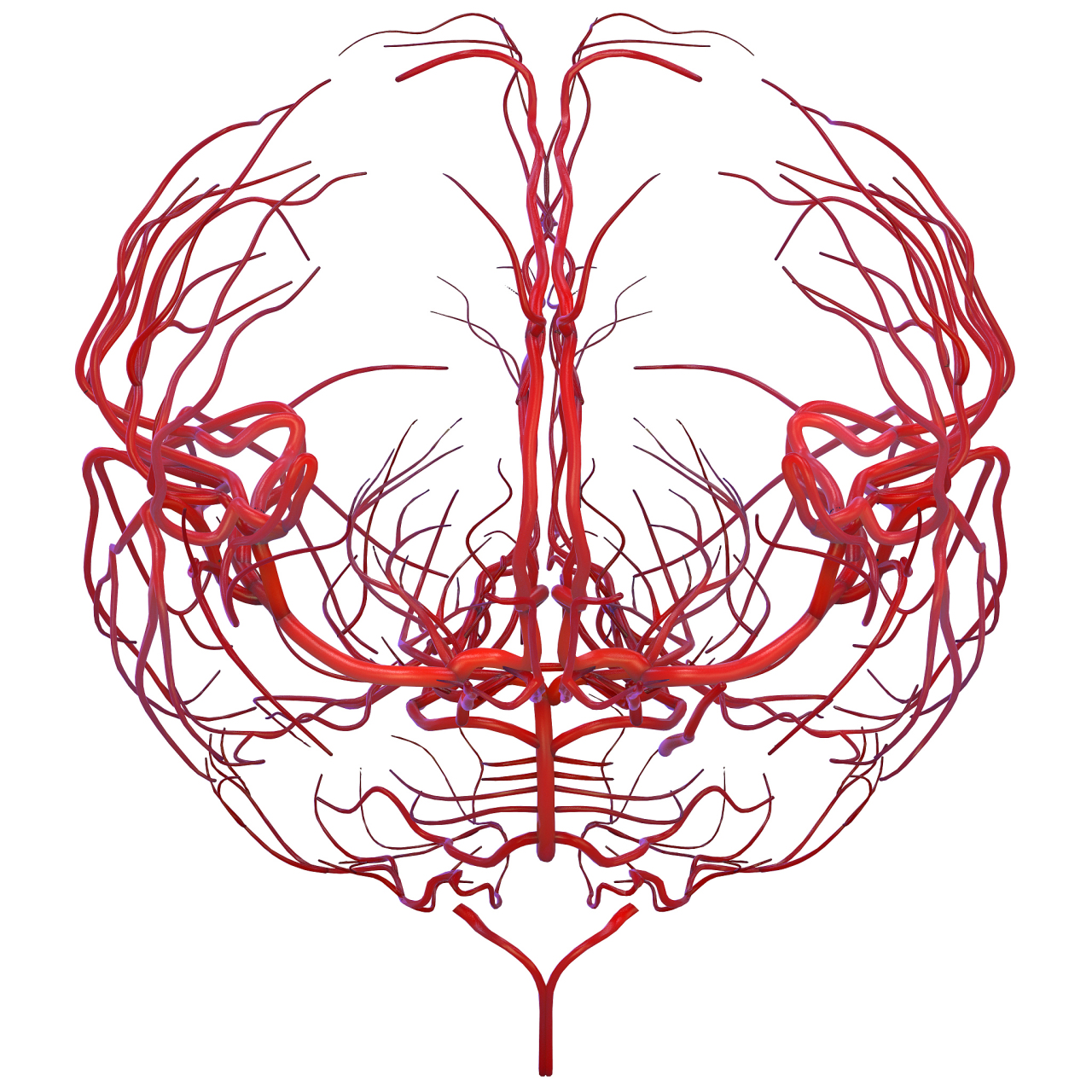 蛛网膜下腔出血:不容忽视的脑部危机 蛛网膜下腔出血,就是脑部血管