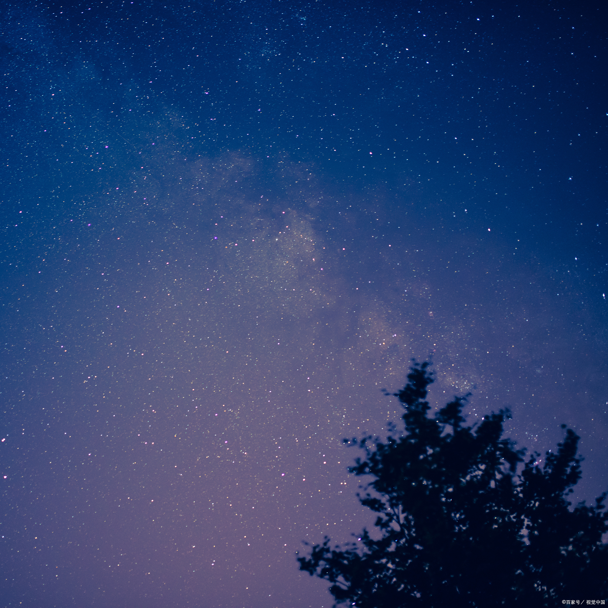星光点点,月光如水,勾勒出一幅宁静而神秘的画卷.