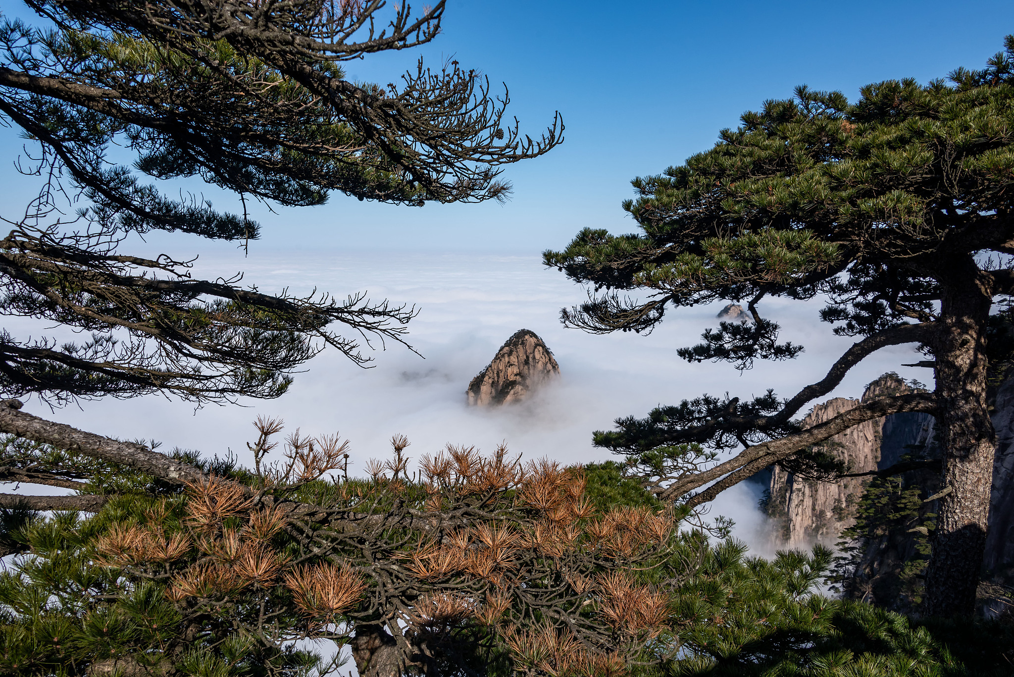 70岁老年人如何游黄山?