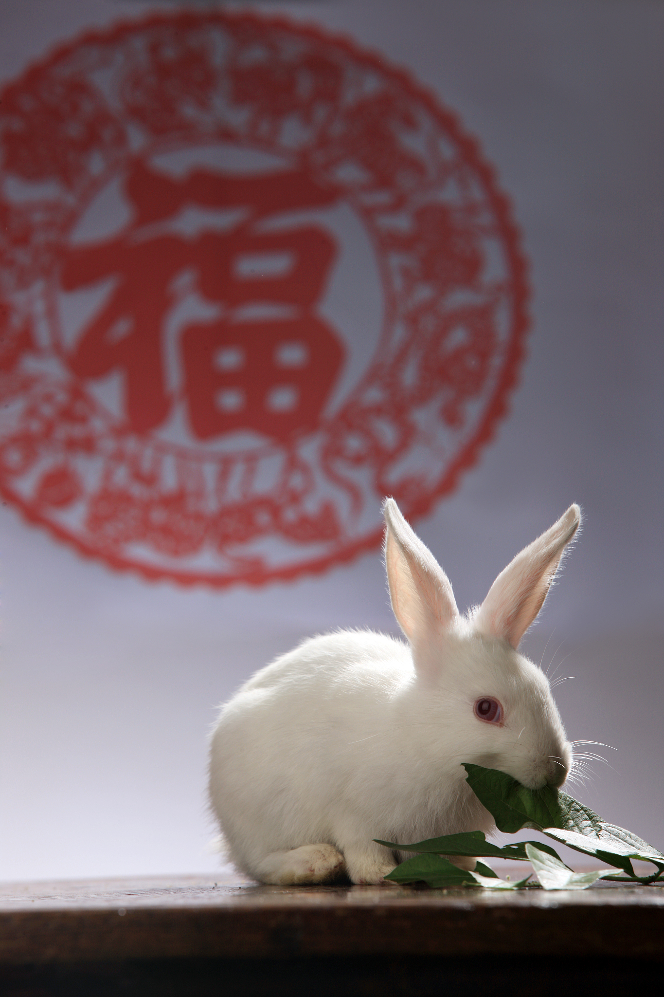 生肖兔9月6日运势(十二生肖2021年9月6日运势)