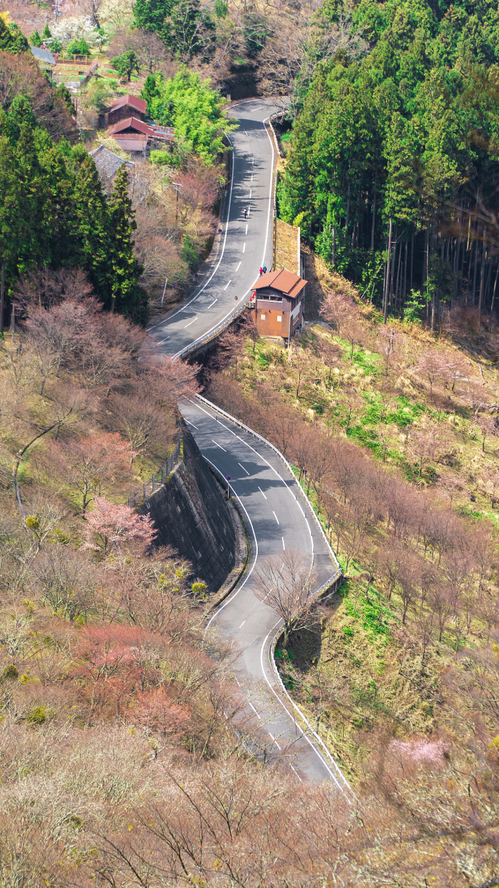 昆仑关风景图片