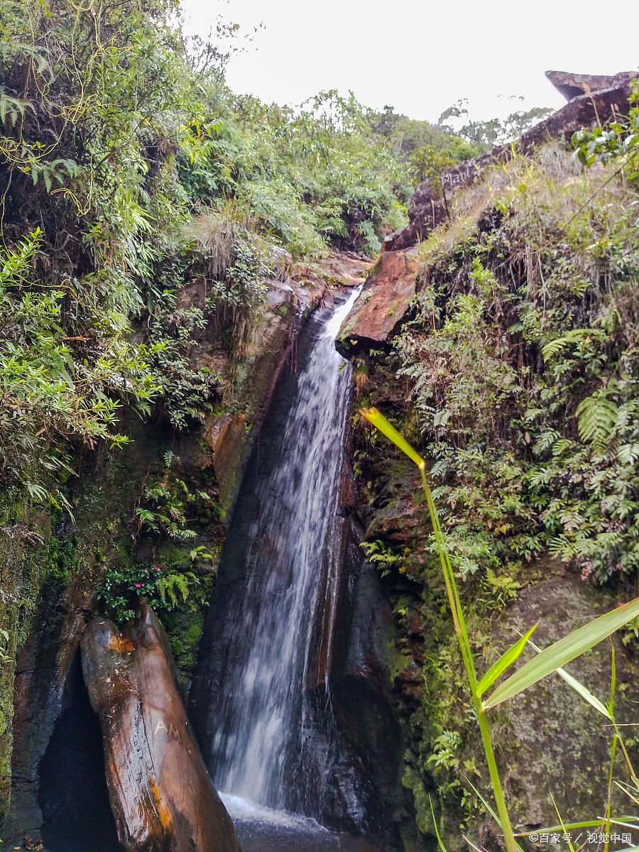 牛姆林生态旅游区旅游攻略  牛姆林生态旅游区,位于福建省永春县,是一