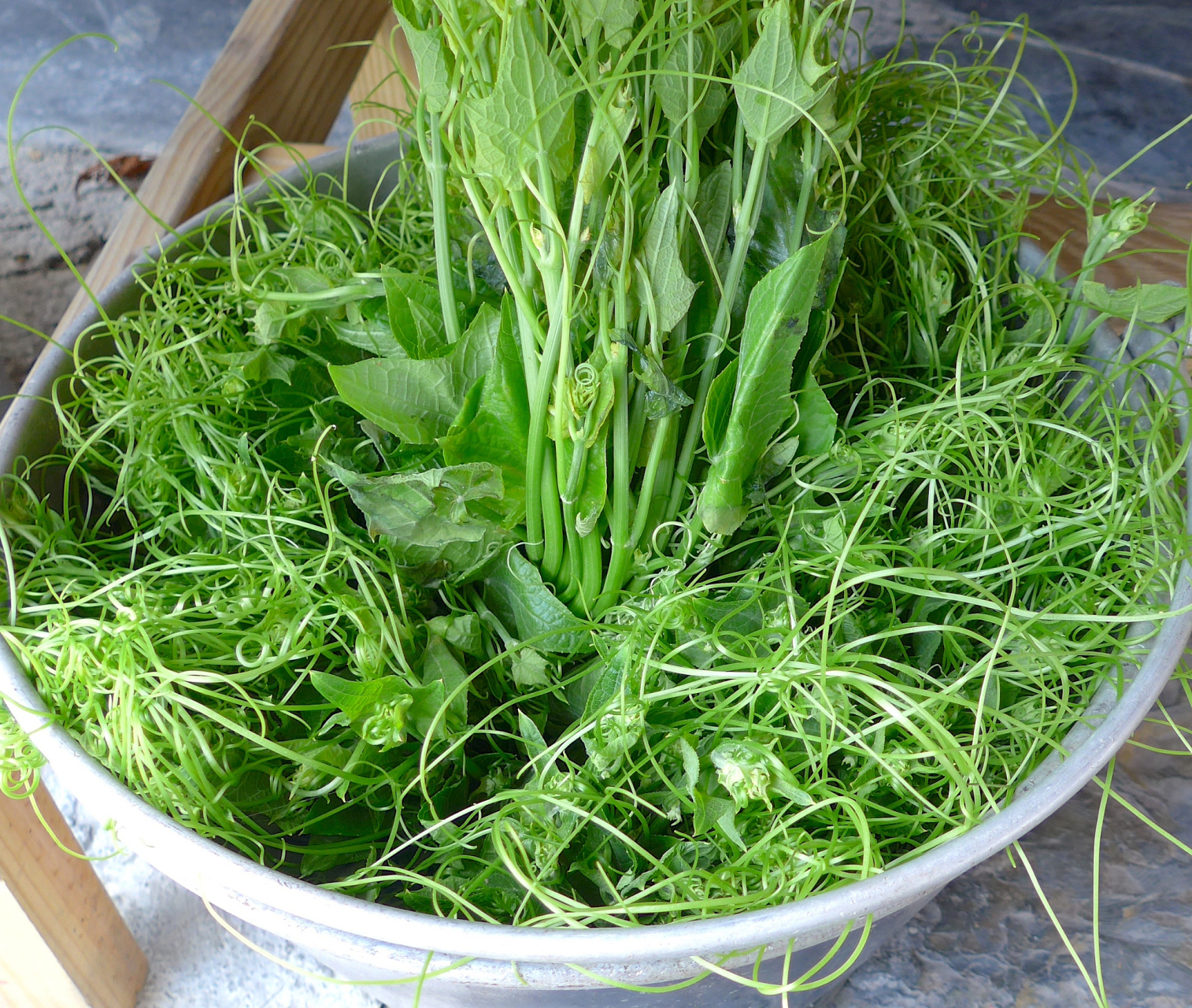 龙须菜的功效与作用	 龙须菜主要具有清热泻火,抗菌消炎,防止便秘