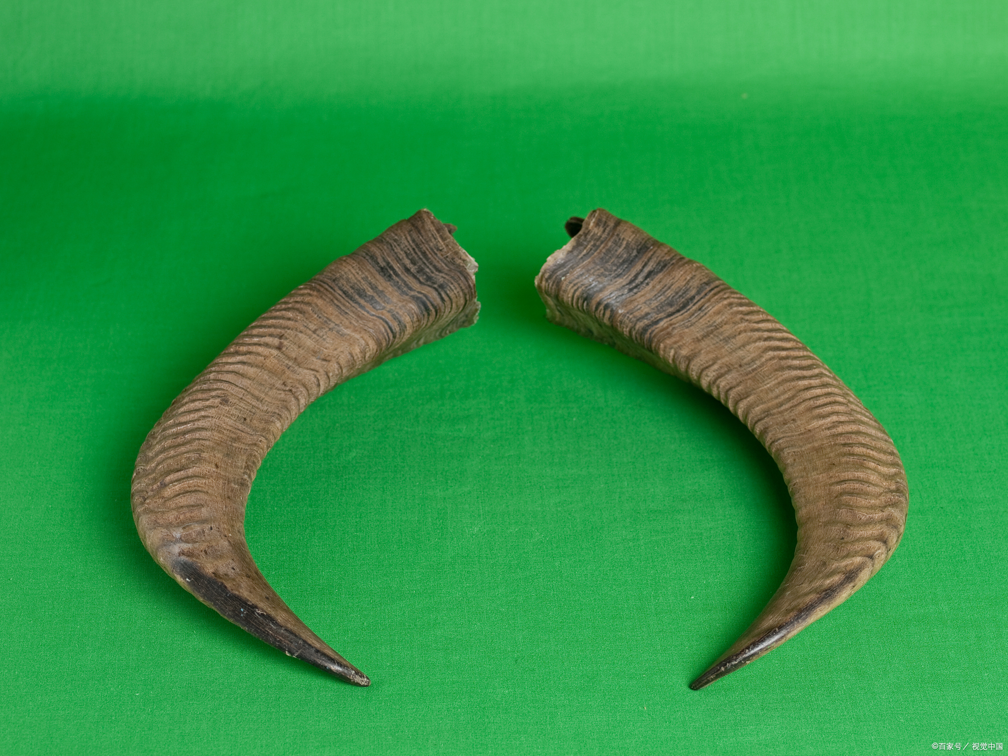 3个关键因素一次说清!