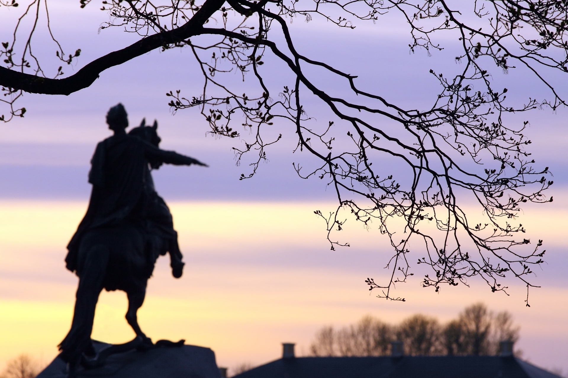 欲成大树,莫与草争;将军有剑,不斩苍蝇!