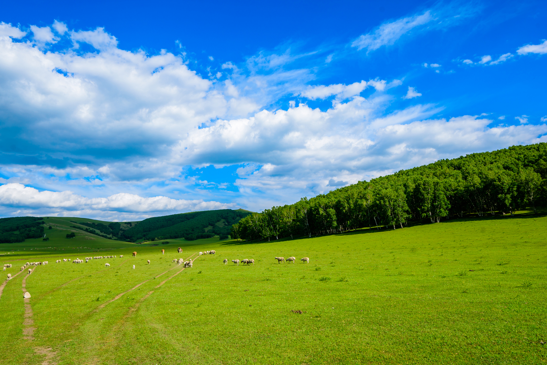 奇遇那拉提#新疆那拉提草甸草原是一处自然风景区,这里有广袤的草原