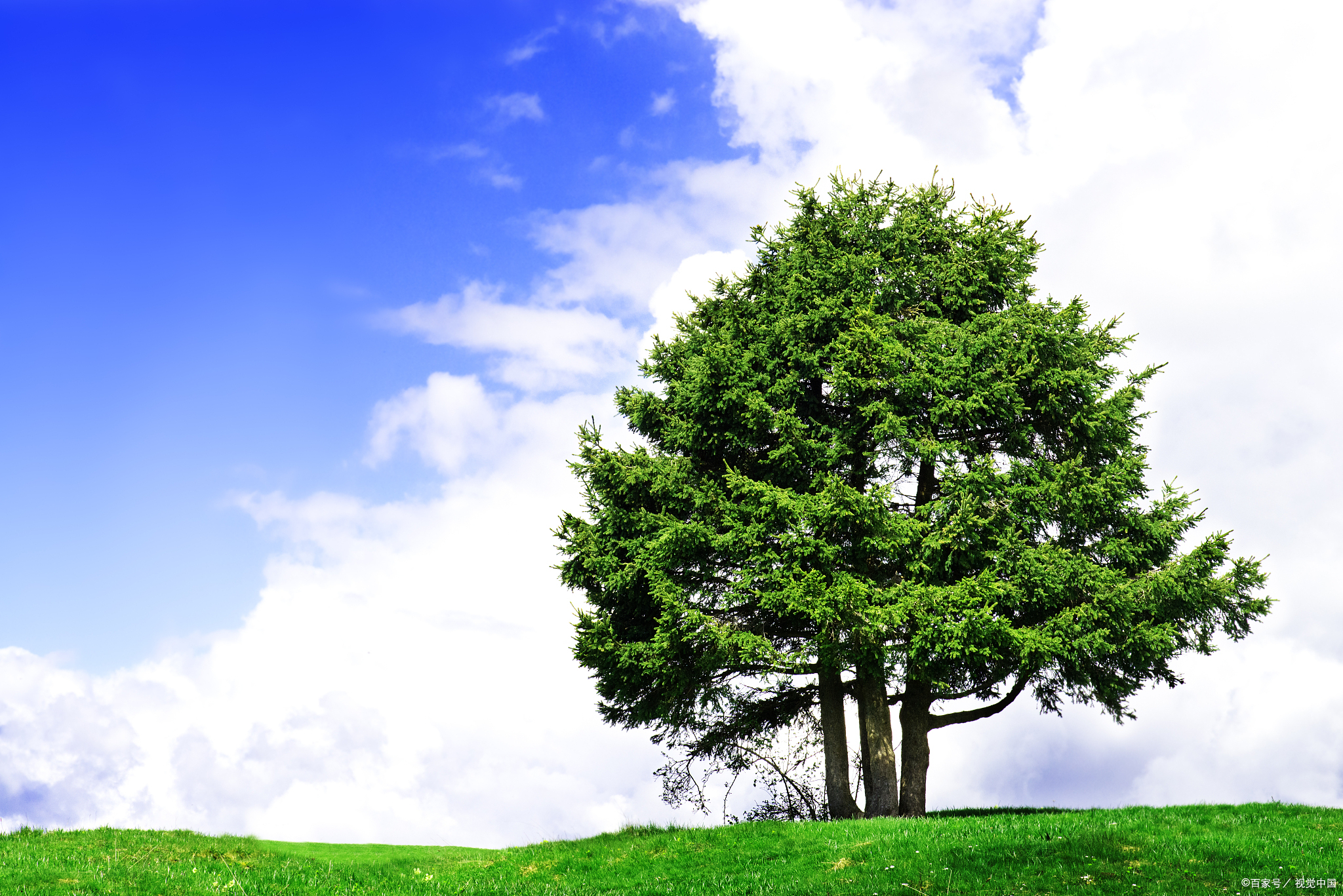 人老后,晚年的依靠是以下几样东西